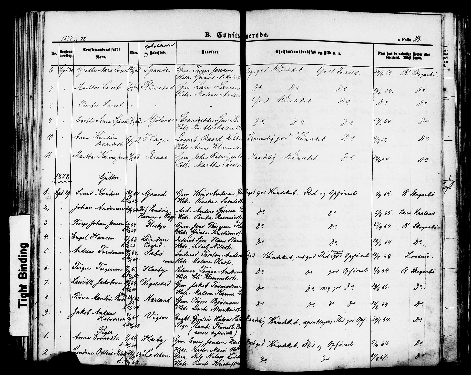 Finnøy sokneprestkontor, SAST/A-101825/H/Ha/Haa/L0008: Parish register (official) no. A 8, 1863-1878, p. 113