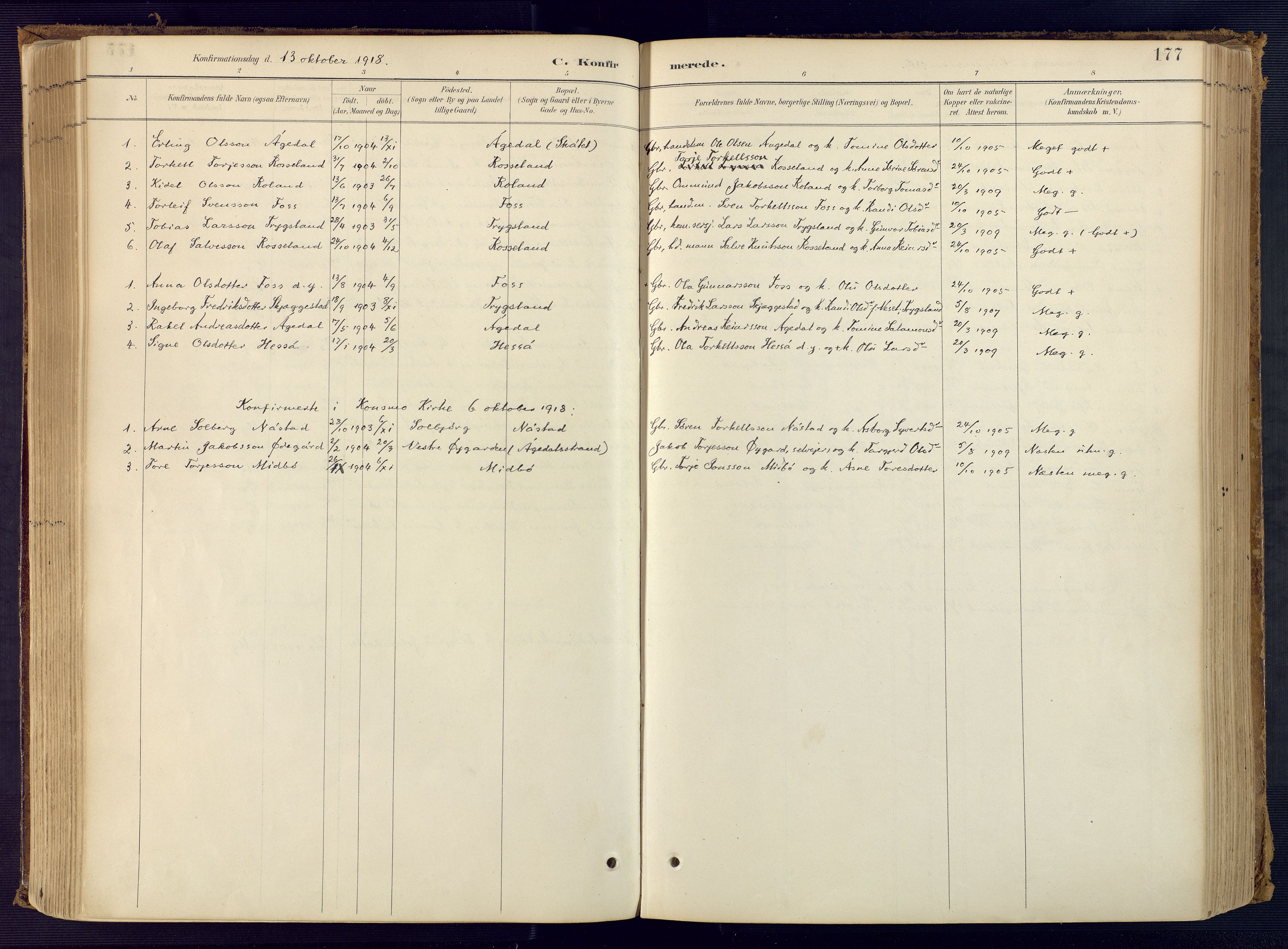 Bjelland sokneprestkontor, SAK/1111-0005/F/Fa/Faa/L0004: Parish register (official) no. A 4, 1887-1923, p. 177
