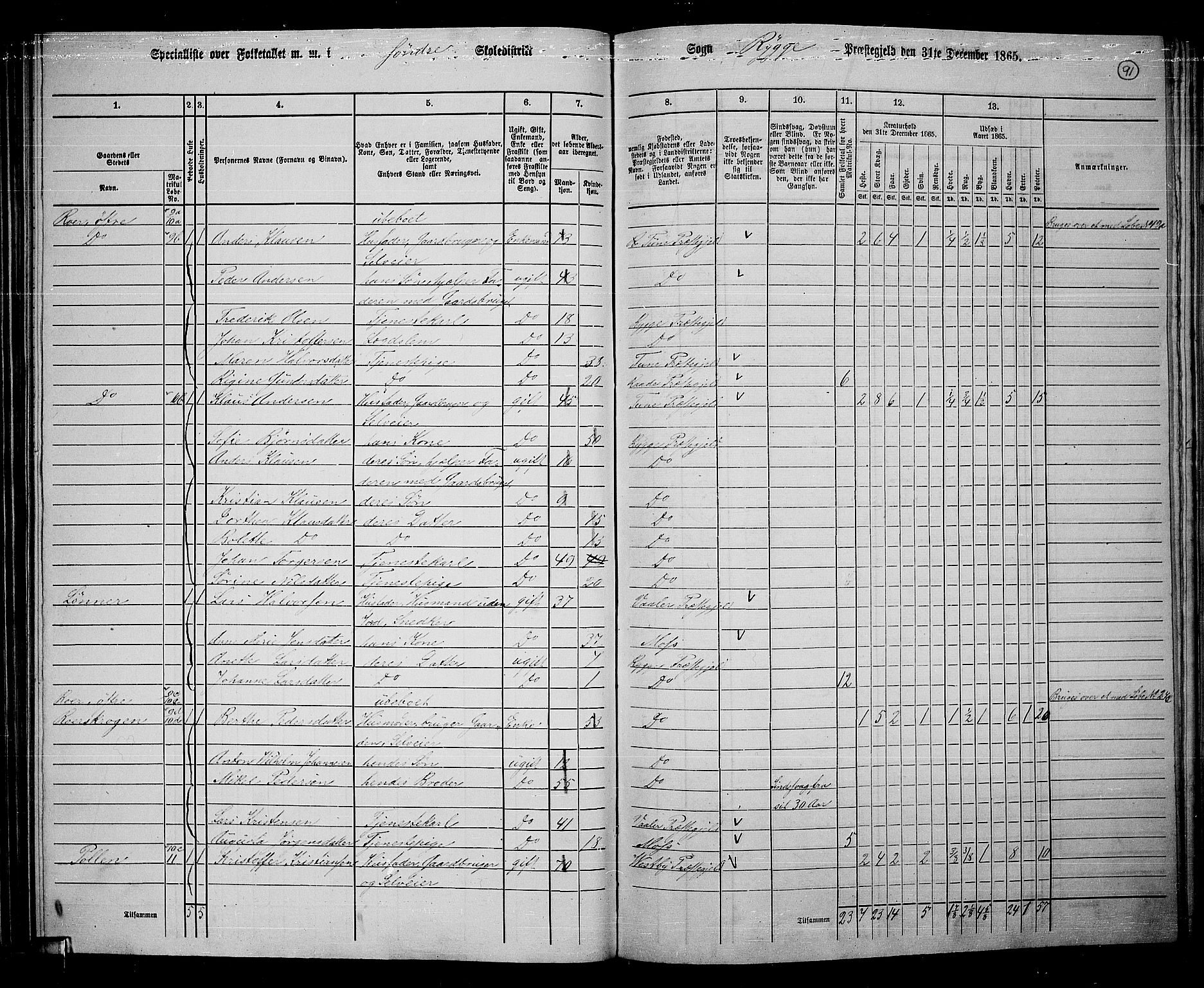 RA, 1865 census for Rygge, 1865, p. 34