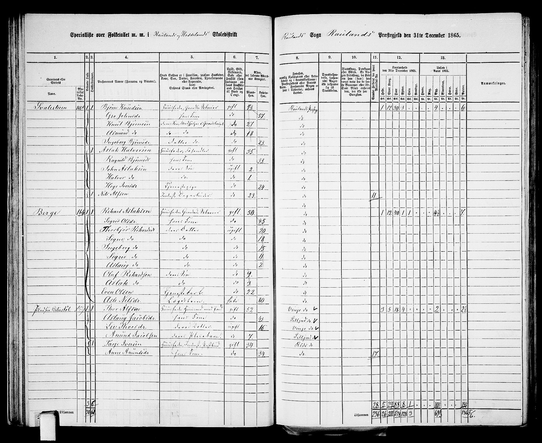 RA, 1865 census for Rauland, 1865, p. 38