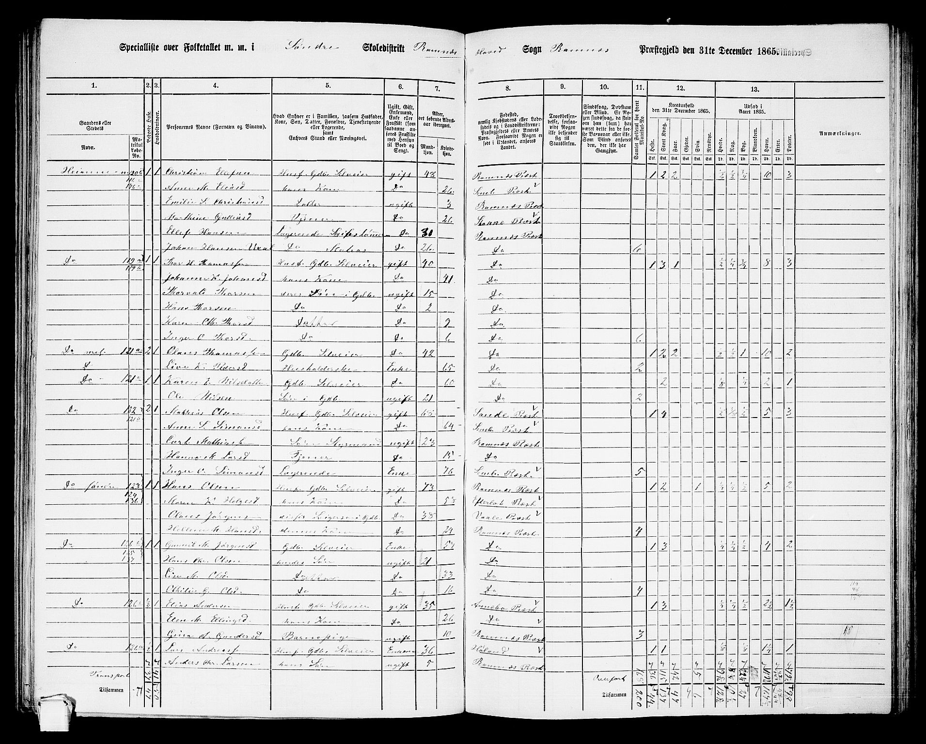 RA, 1865 census for Ramnes, 1865, p. 20