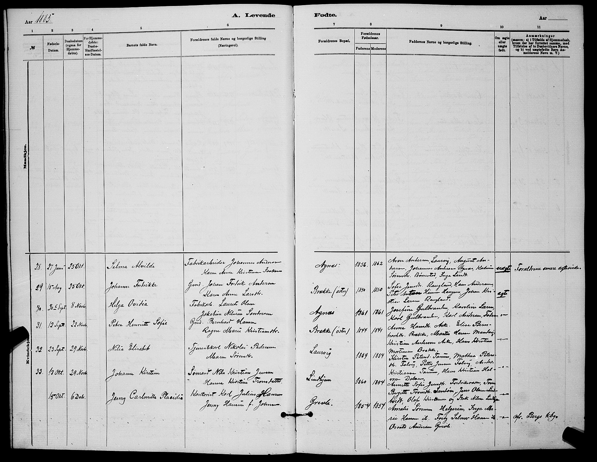 Brunlanes kirkebøker, AV/SAKO-A-342/G/Ga/L0003: Parish register (copy) no. I 3, 1877-1898