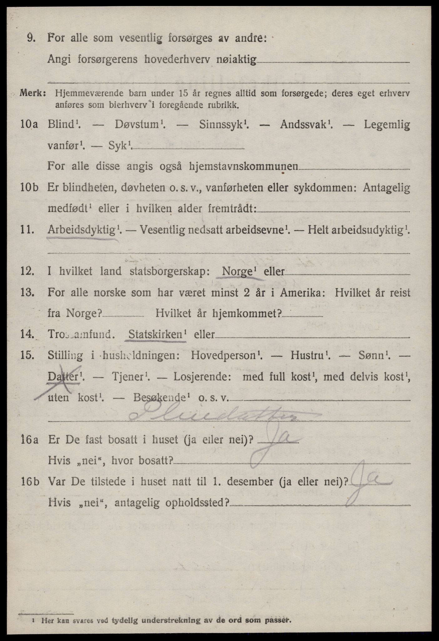 SAT, 1920 census for Hustad, 1920, p. 1504