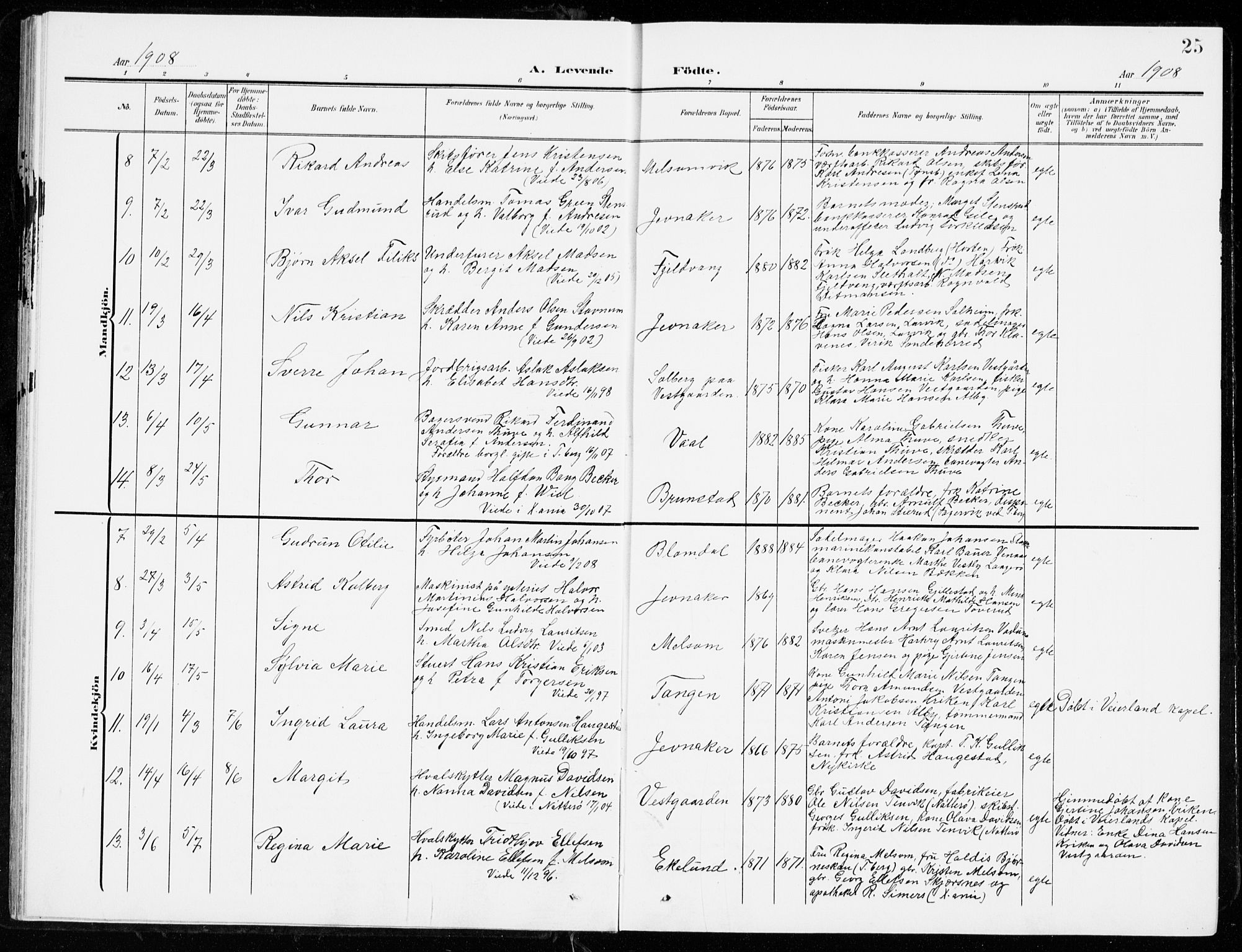 Stokke kirkebøker, SAKO/A-320/G/Ga/L0001: Parish register (copy) no. I 1, 1904-1940, p. 25