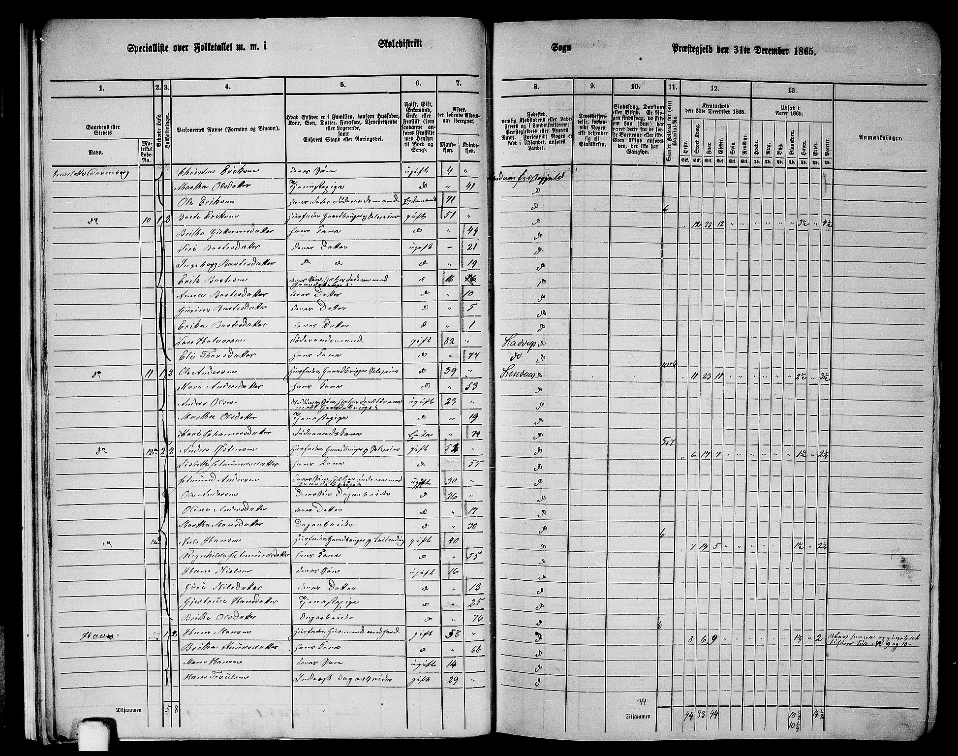 RA, 1865 census for Lindås, 1865, p. 19