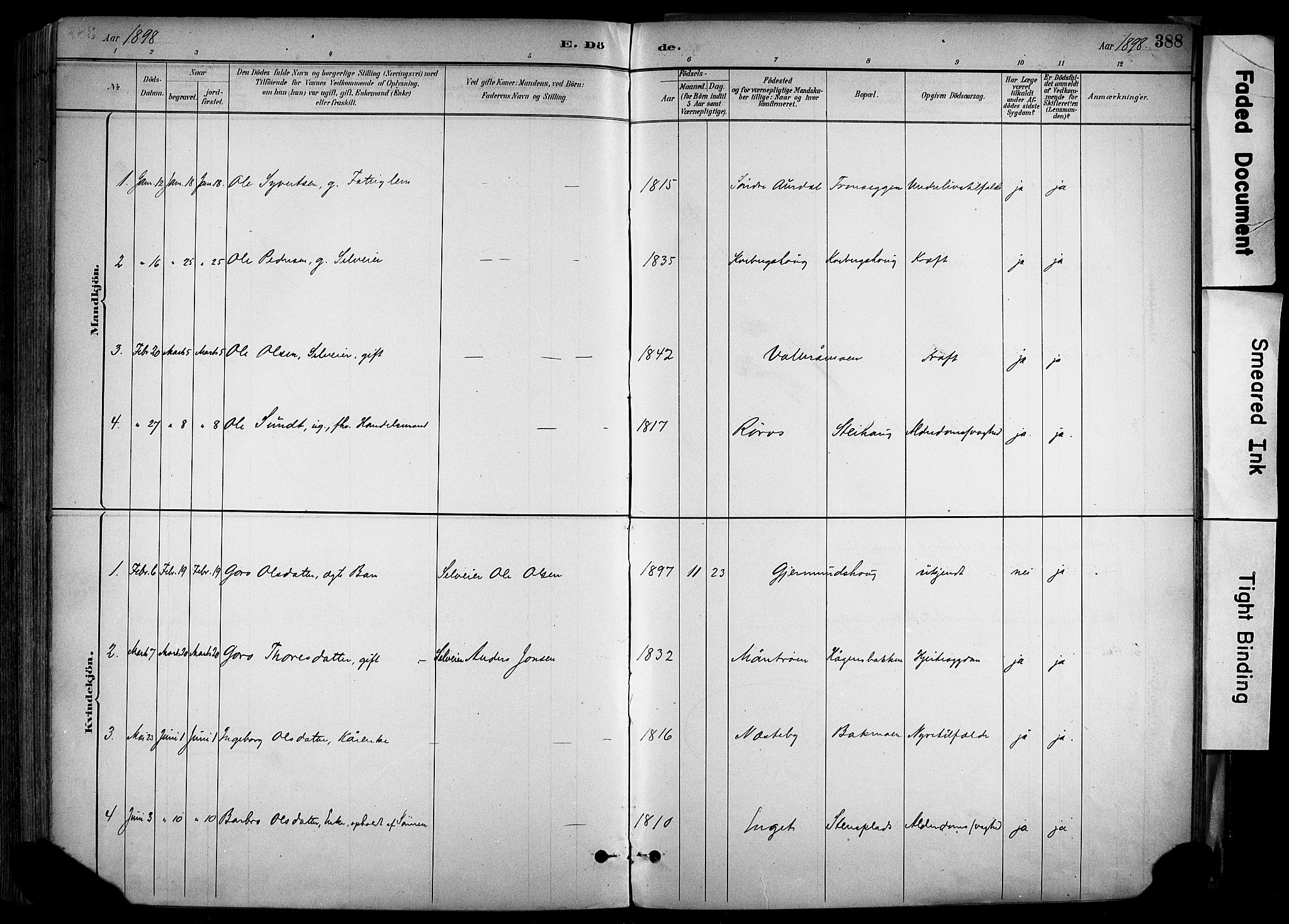 Alvdal prestekontor, SAH/PREST-060/H/Ha/Haa/L0002: Parish register (official) no. 2, 1883-1906, p. 388