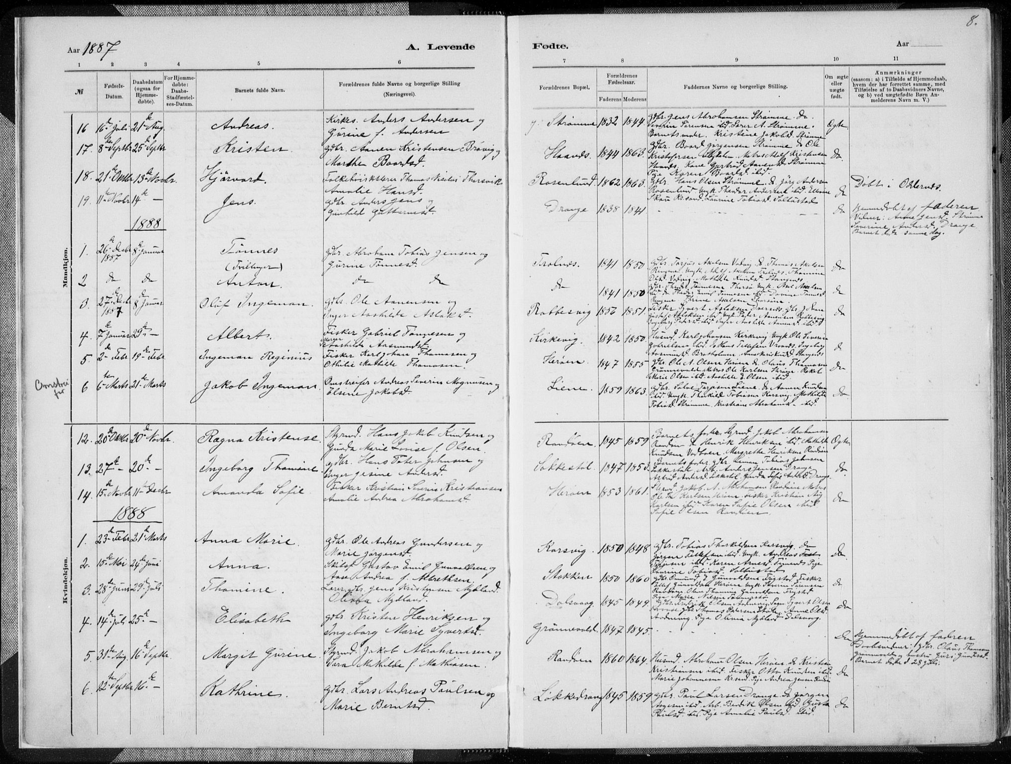 Oddernes sokneprestkontor, AV/SAK-1111-0033/F/Fa/Fab/L0002: Parish register (official) no. A 2, 1884-1903, p. 8