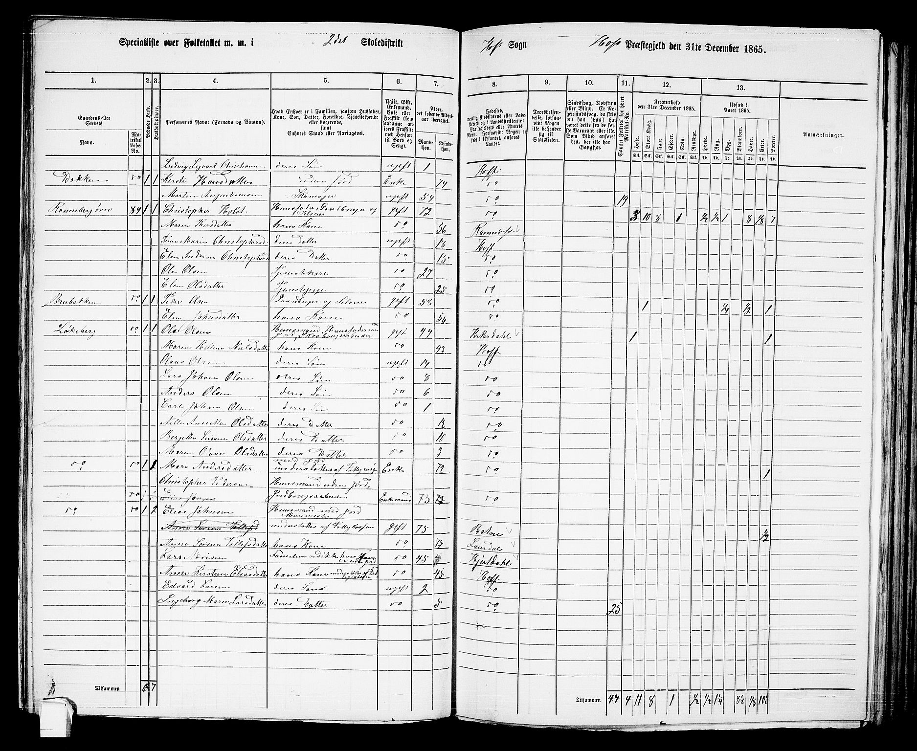 RA, 1865 census for Hof, 1865, p. 114