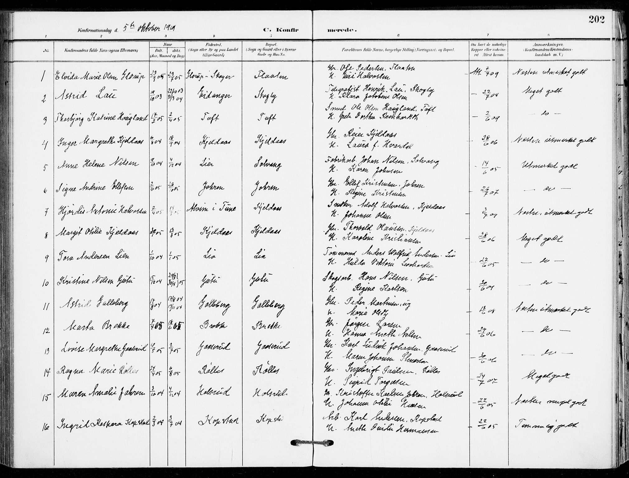 Sande Kirkebøker, AV/SAKO-A-53/F/Fa/L0008: Parish register (official) no. 8, 1904-1921, p. 202