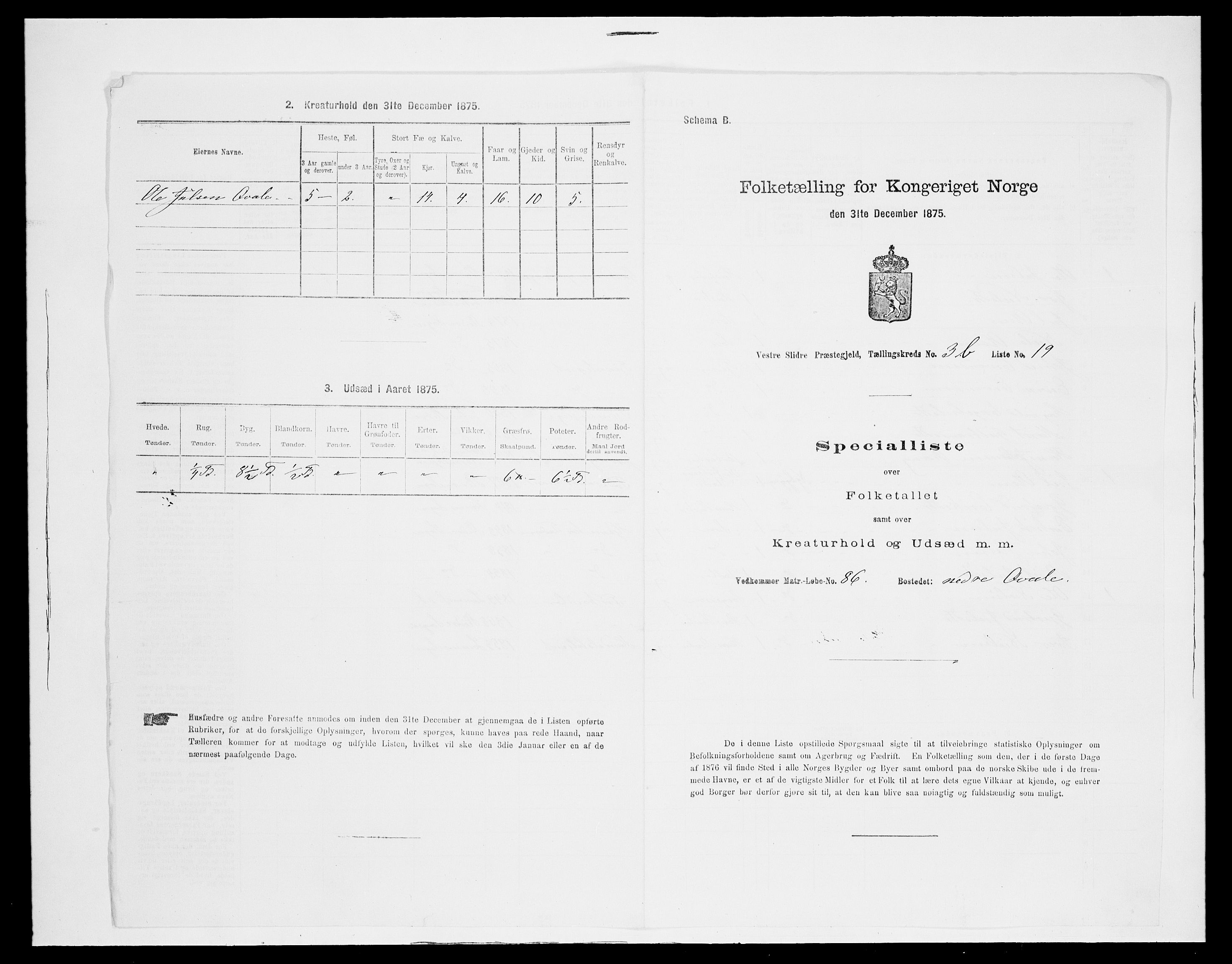 SAH, 1875 census for 0543P Vestre Slidre, 1875, p. 358