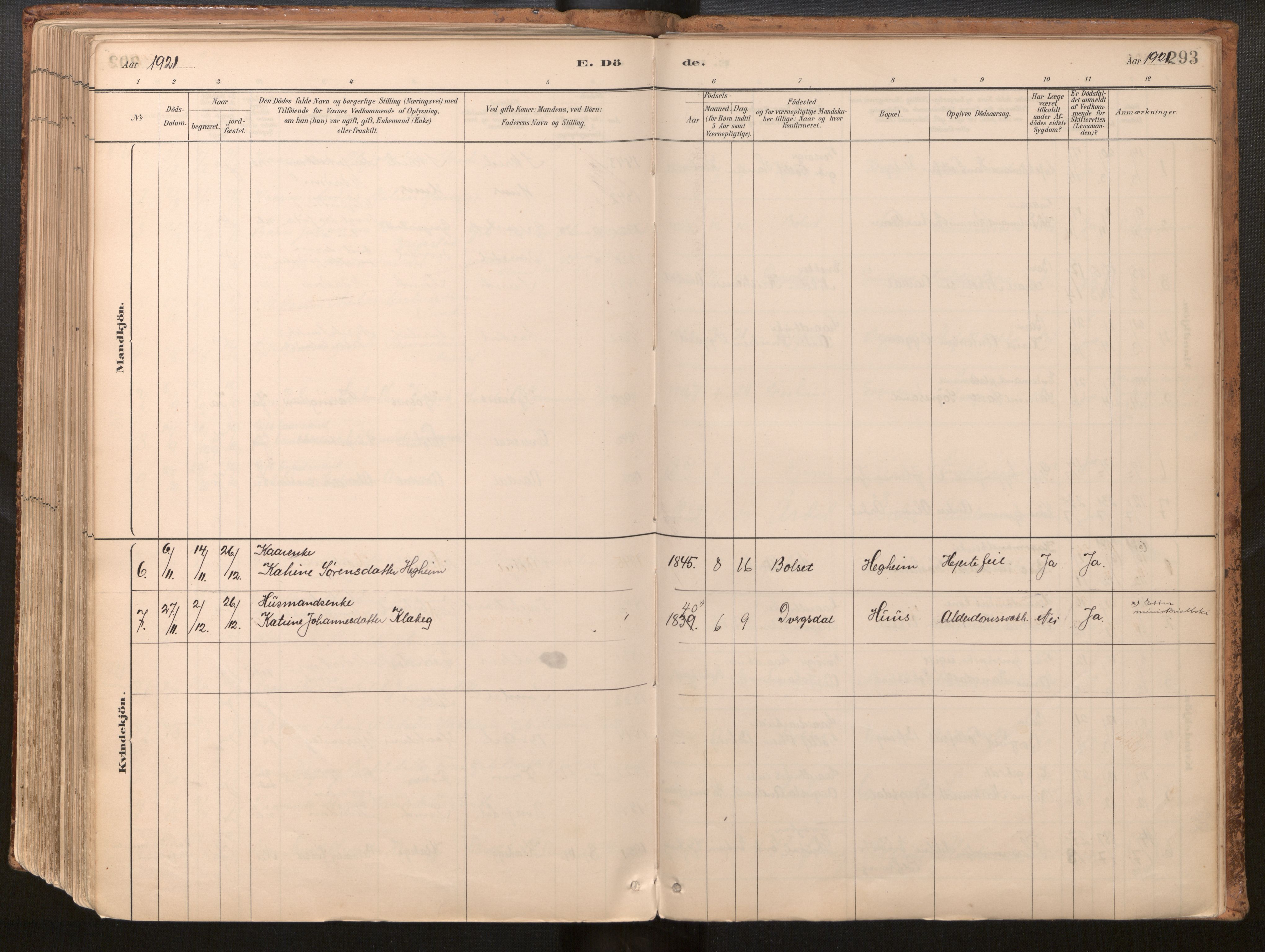 Jølster sokneprestembete, AV/SAB-A-80701/H/Haa/Haac/L0001: Parish register (official) no. C 1, 1882-1928, p. 293