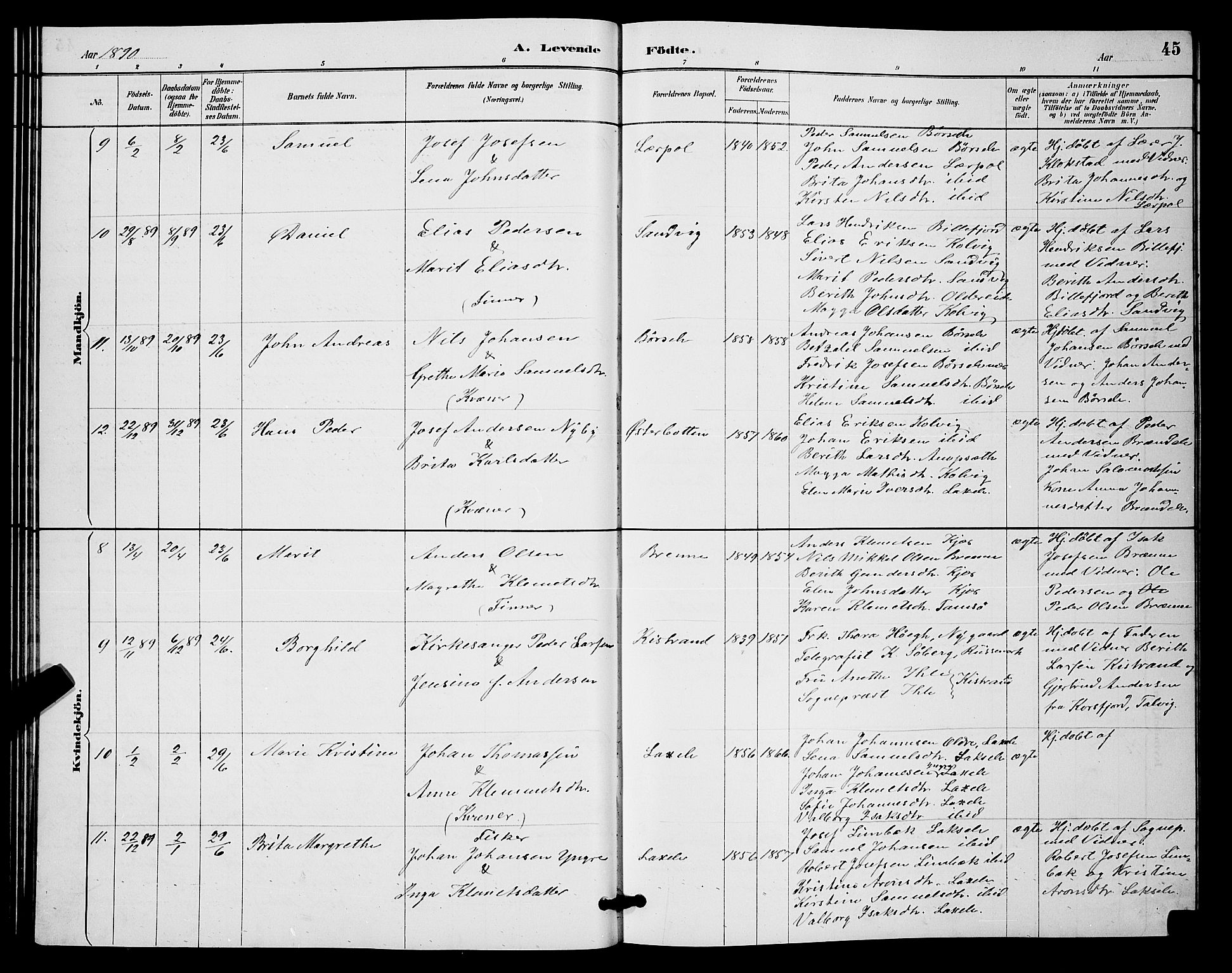 Kistrand/Porsanger sokneprestembete, SATØ/S-1351/H/Hb/L0004.klokk: Parish register (copy) no. 4, 1885-1894, p. 45