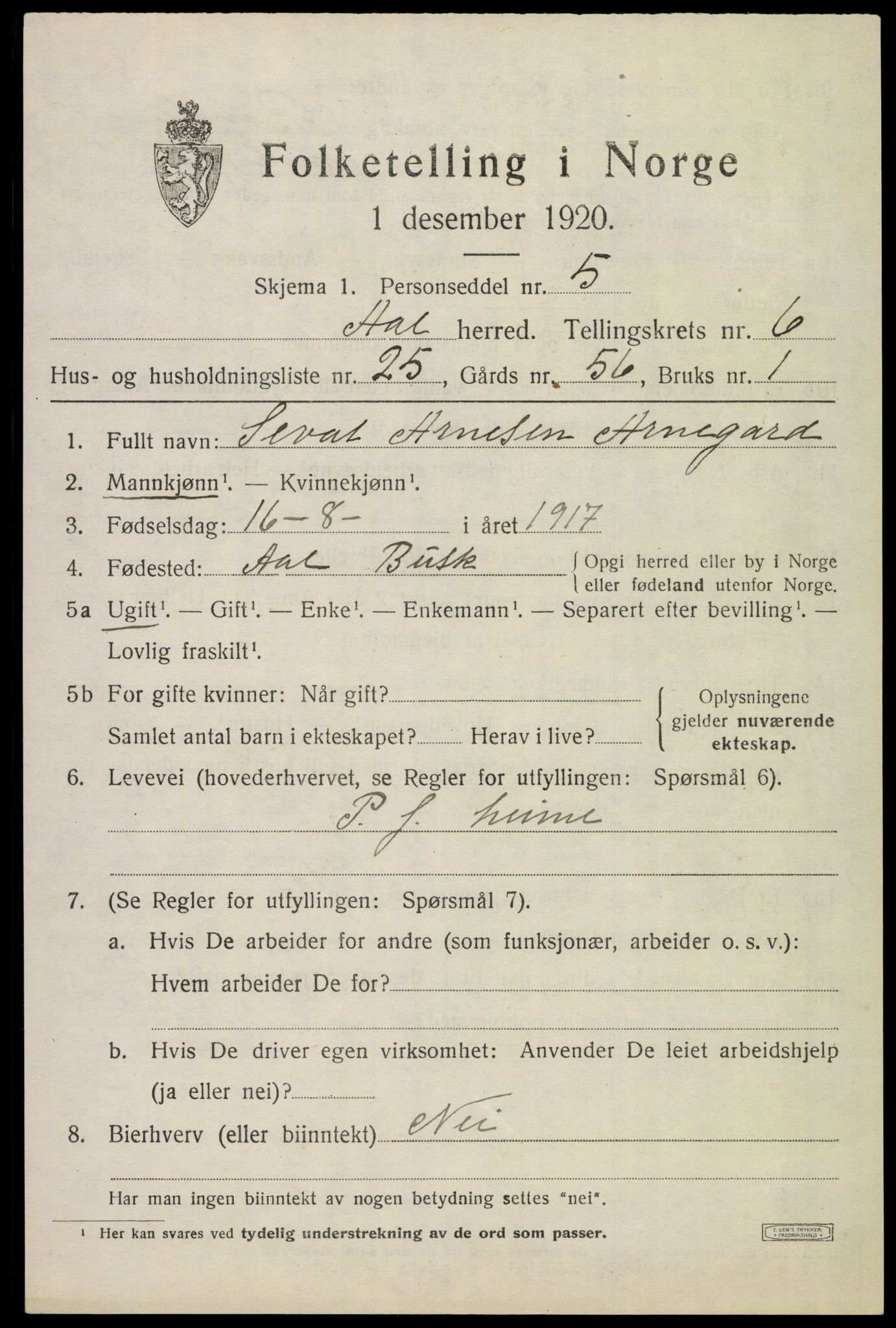 SAKO, 1920 census for Ål, 1920, p. 4618