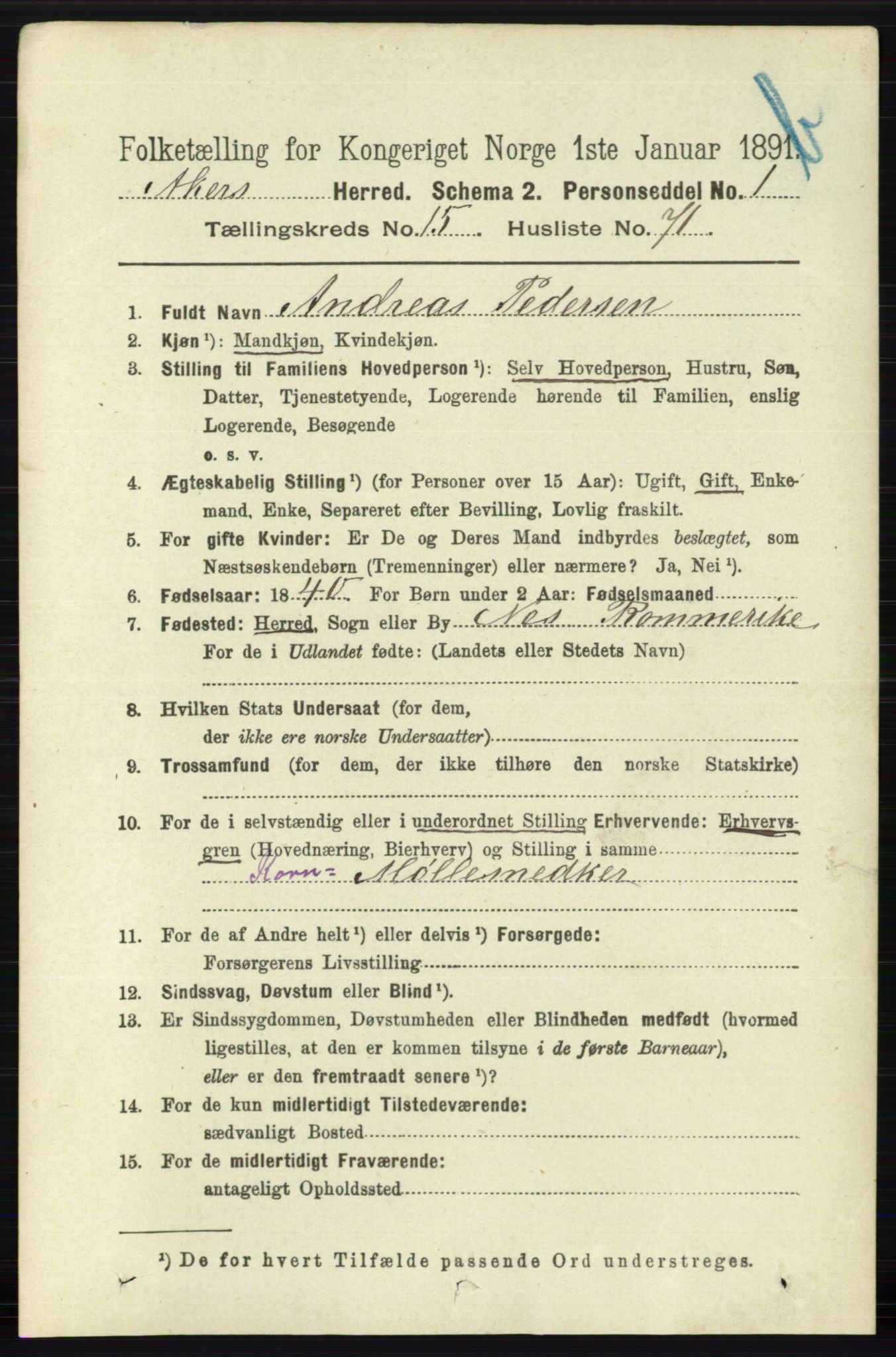 RA, 1891 census for 0218 Aker, 1891, p. 13916