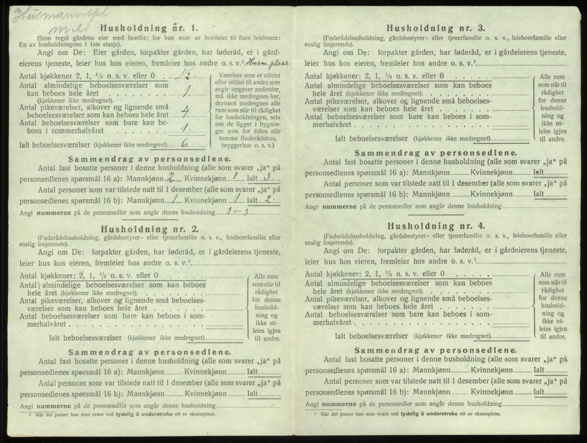 SAB, 1920 census for Lærdal, 1920, p. 312