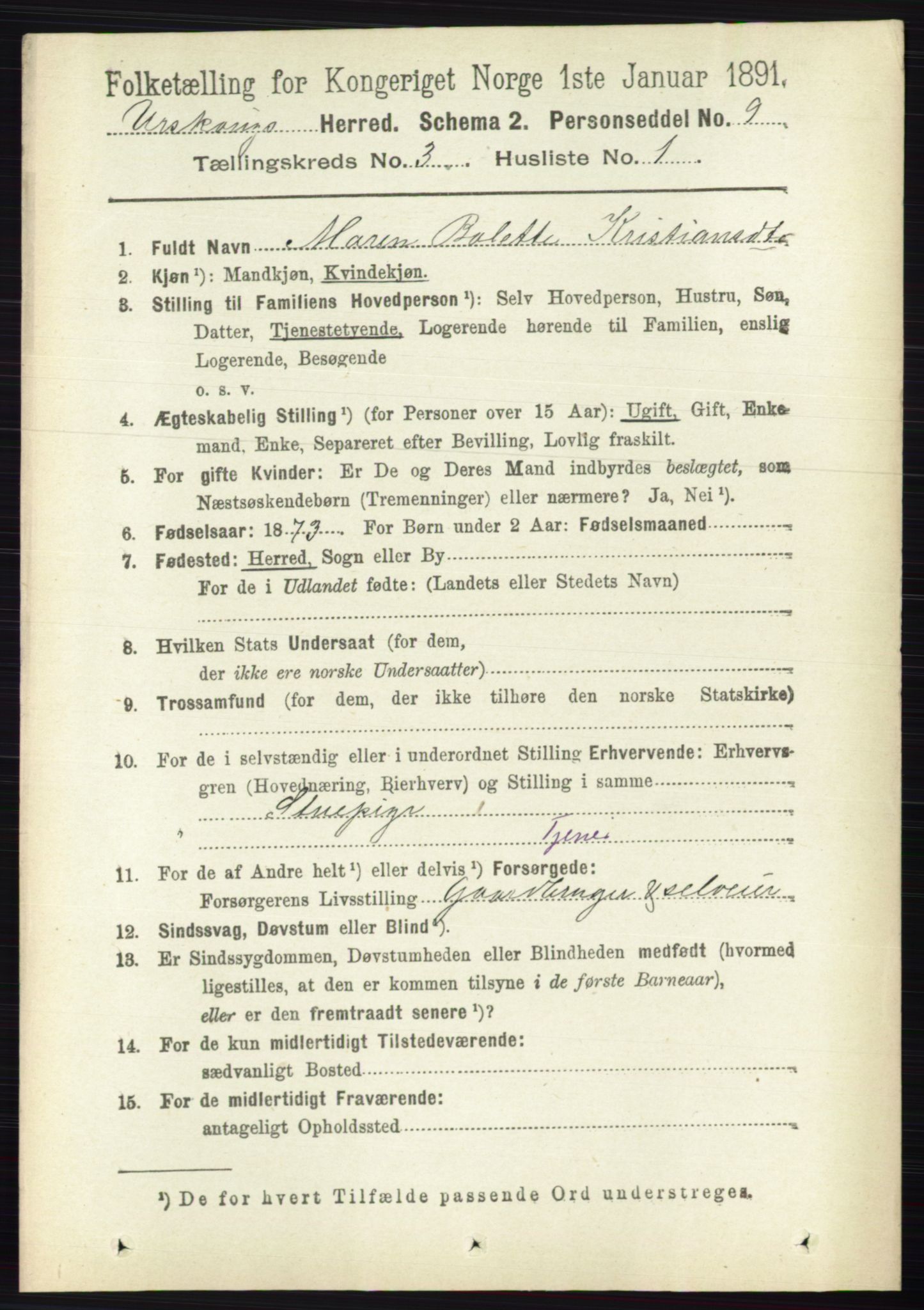 RA, 1891 census for 0224 Aurskog, 1891, p. 507