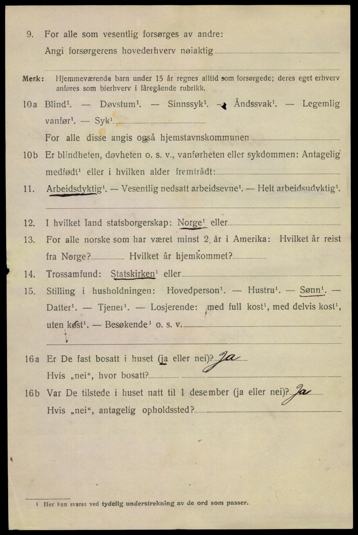 SAKO, 1920 census for Skien, 1920, p. 16827