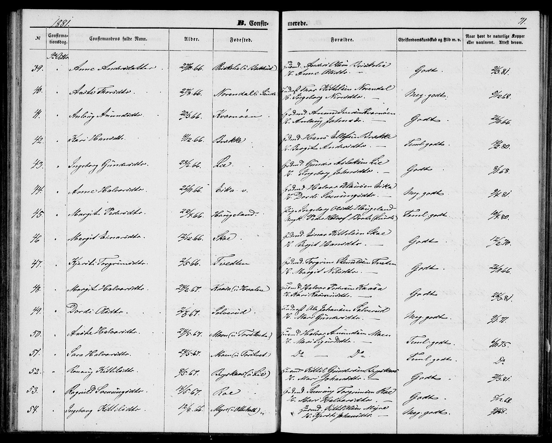 Bø kirkebøker, SAKO/A-257/G/Ga/L0004: Parish register (copy) no. 4, 1876-1882, p. 71