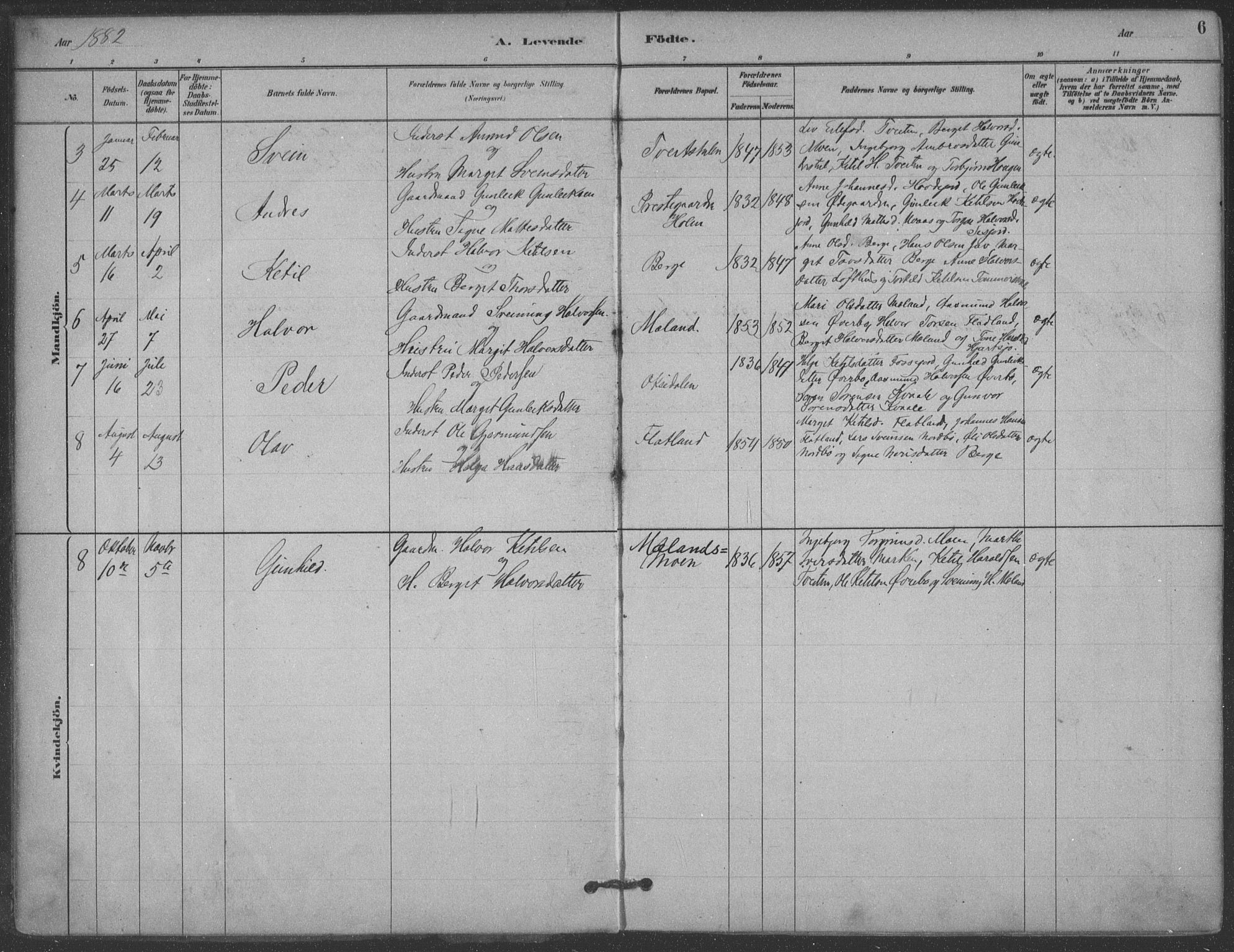 Hjartdal kirkebøker, AV/SAKO-A-270/F/Fa/L0010: Parish register (official) no. I 10, 1880-1929, p. 6