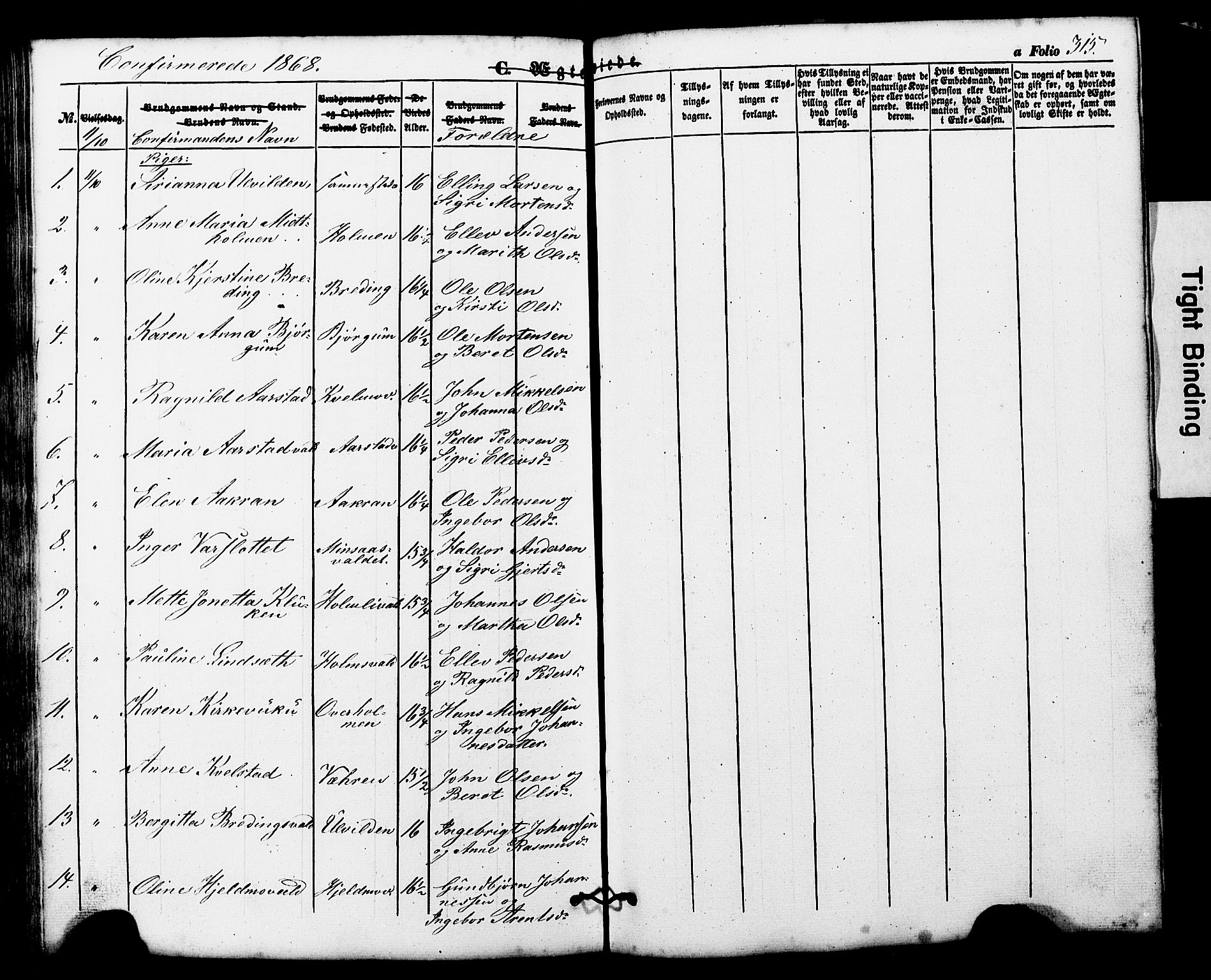 Ministerialprotokoller, klokkerbøker og fødselsregistre - Nord-Trøndelag, AV/SAT-A-1458/724/L0268: Parish register (copy) no. 724C04, 1846-1878, p. 315