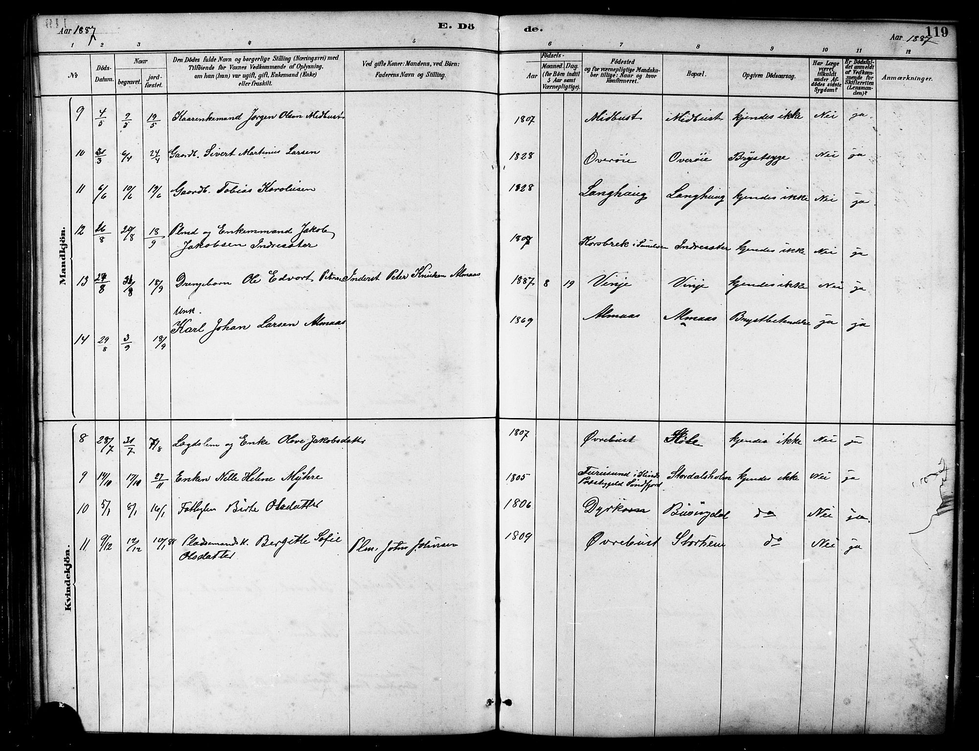 Ministerialprotokoller, klokkerbøker og fødselsregistre - Møre og Romsdal, AV/SAT-A-1454/521/L0302: Parish register (copy) no. 521C03, 1882-1907, p. 119