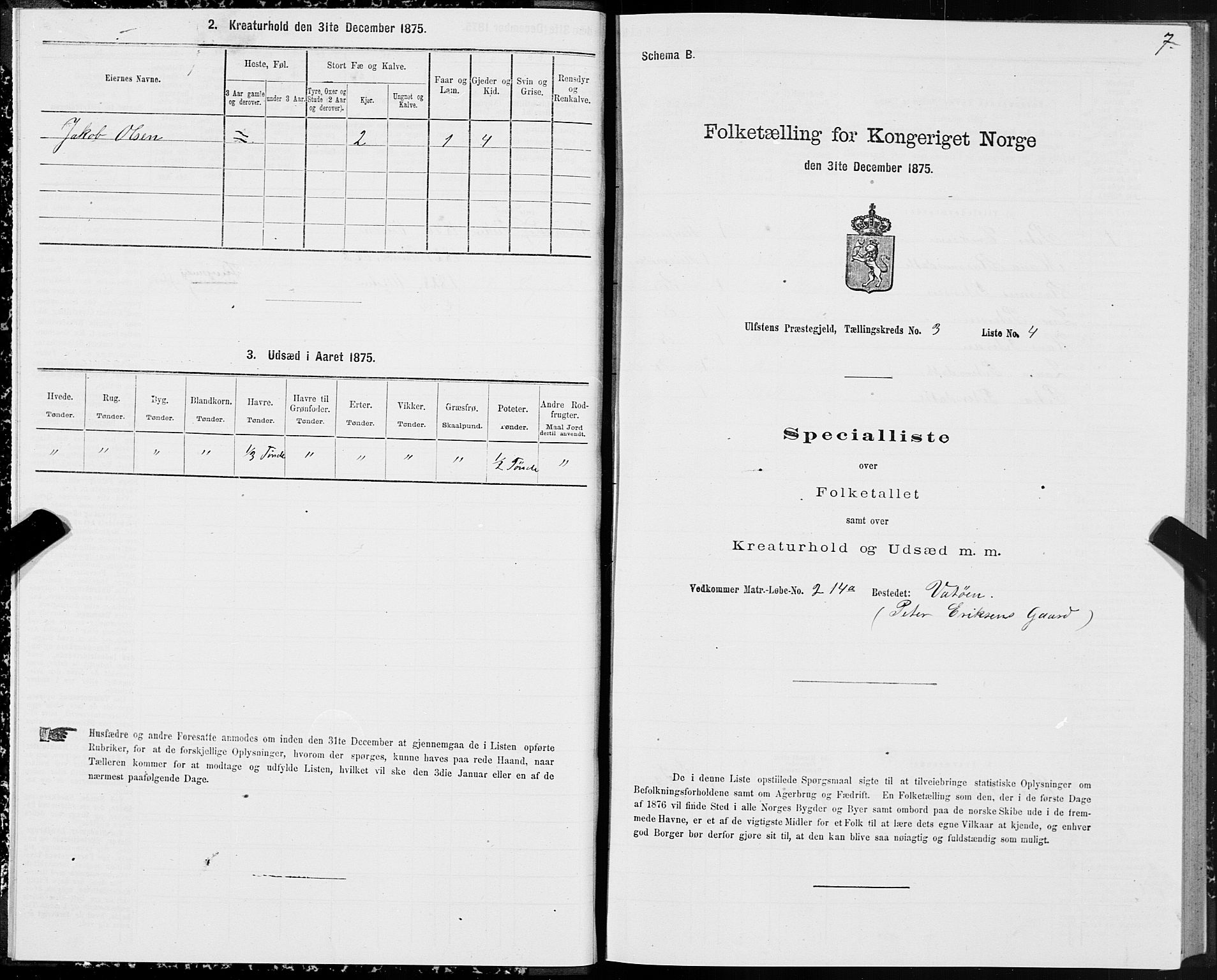 SAT, 1875 census for 1516P Ulstein, 1875, p. 2007