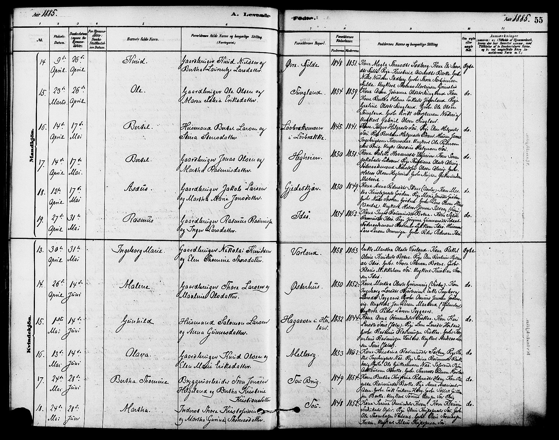 Strand sokneprestkontor, SAST/A-101828/H/Ha/Haa/L0009: Parish register (official) no. A 9, 1877-1908, p. 55
