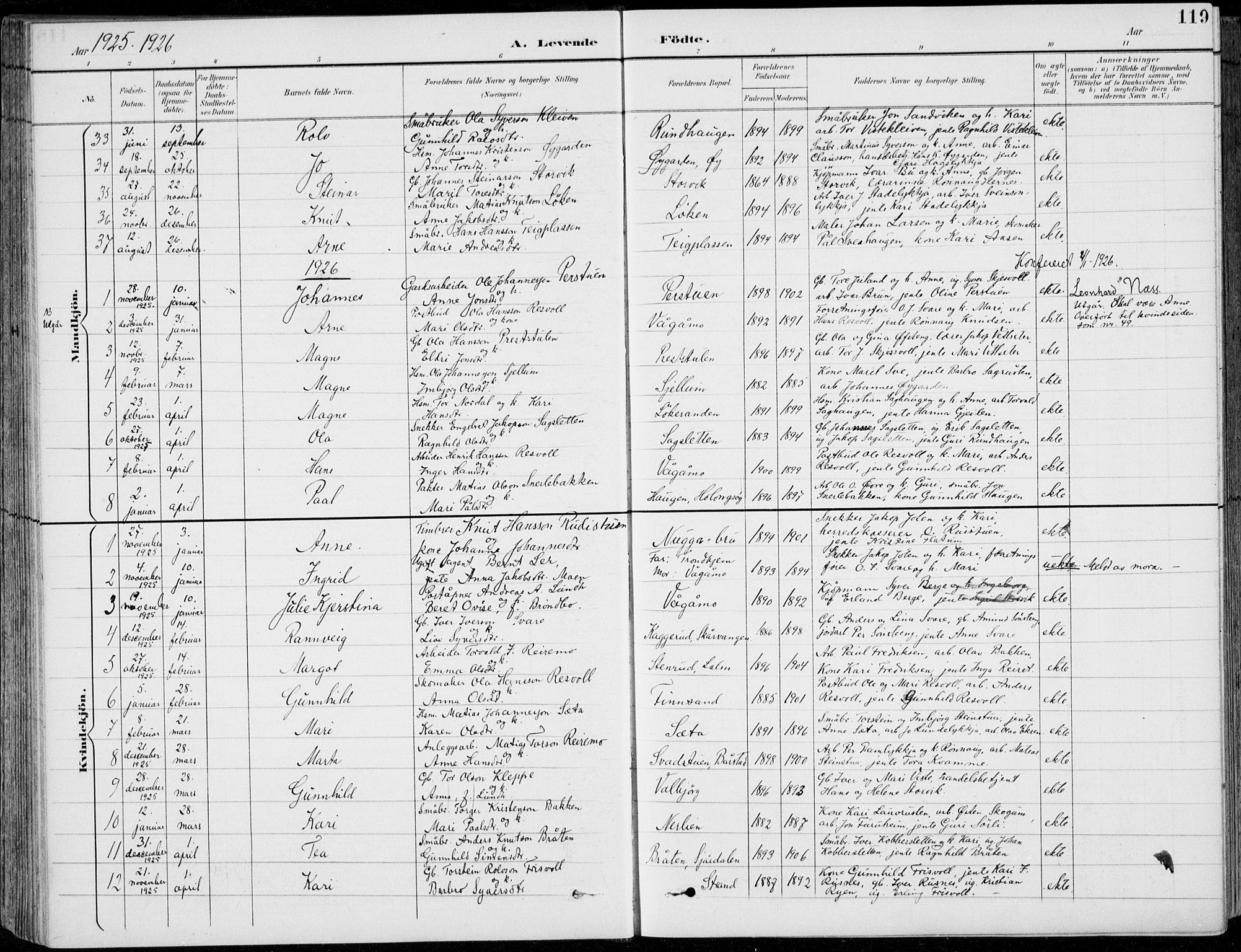 Vågå prestekontor, AV/SAH-PREST-076/H/Ha/Hab/L0002: Parish register (copy) no. 2, 1894-1939, p. 119