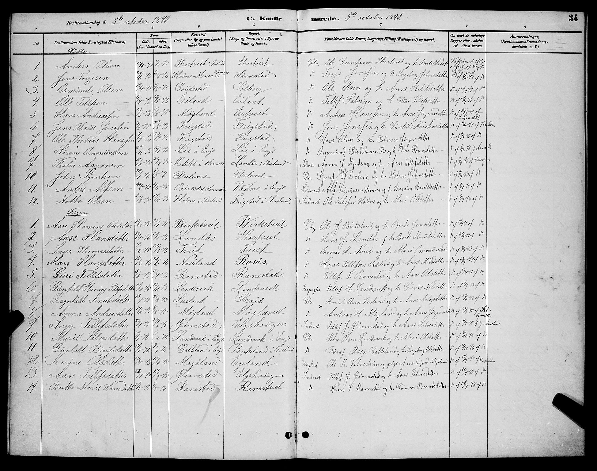 Evje sokneprestkontor, AV/SAK-1111-0008/F/Fb/Fbc/L0004: Parish register (copy) no. B 4, 1890-1900, p. 34