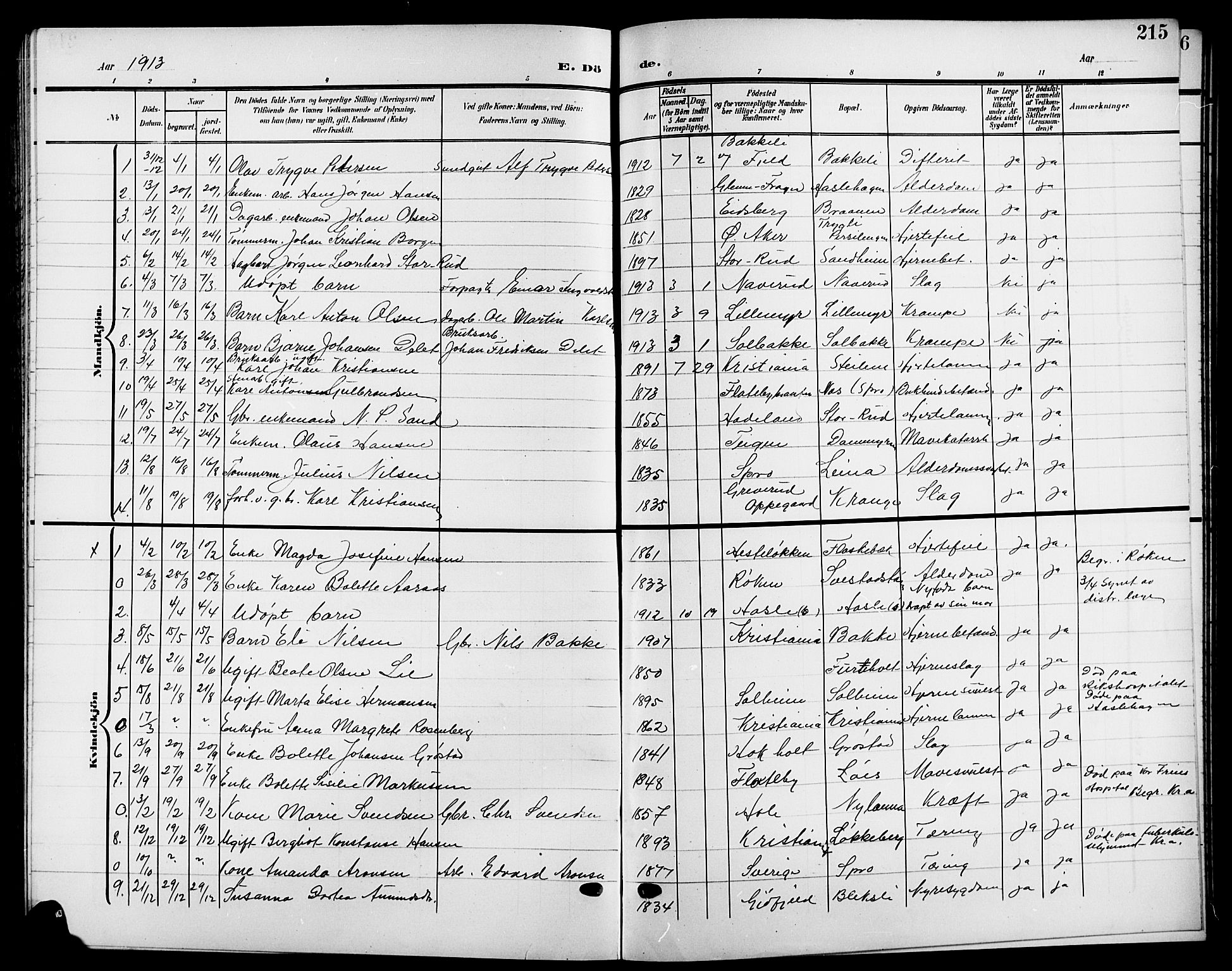 Nesodden prestekontor Kirkebøker, SAO/A-10013/G/Ga/L0002: Parish register (copy) no. I 2, 1905-1924, p. 215