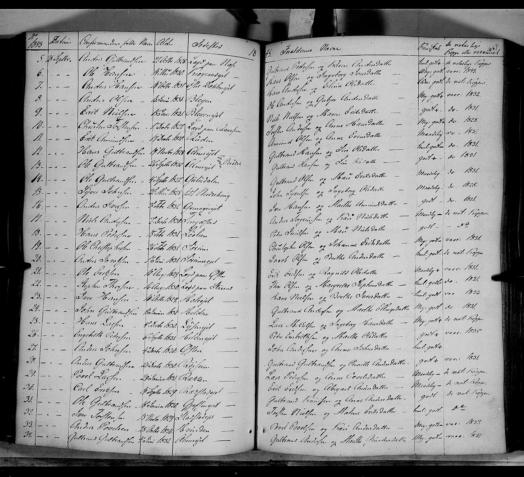 Gran prestekontor, AV/SAH-PREST-112/H/Ha/Haa/L0011: Parish register (official) no. 11, 1842-1856, p. 666-667