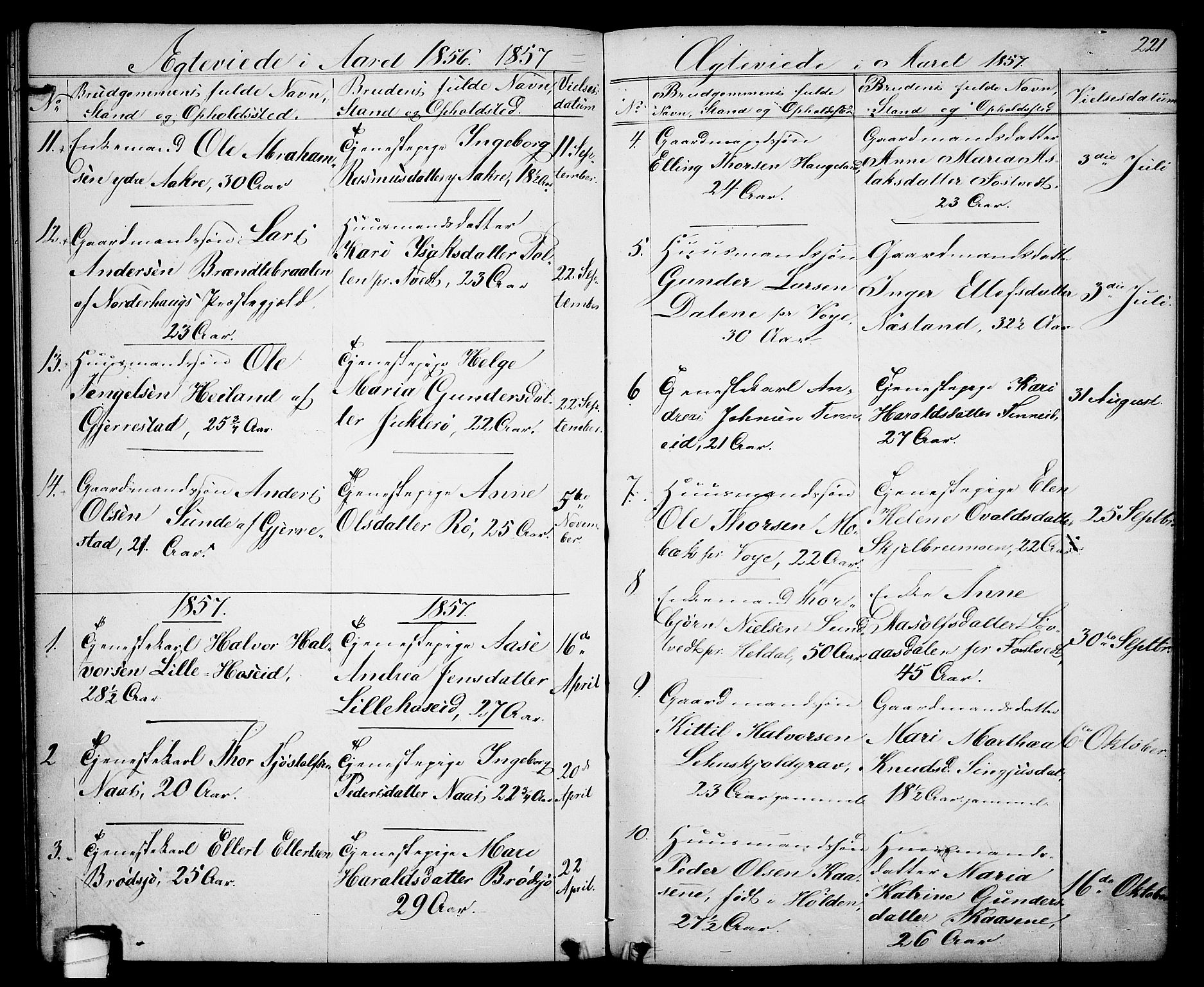 Drangedal kirkebøker, SAKO/A-258/G/Ga/L0002: Parish register (copy) no. I 2, 1856-1887, p. 221
