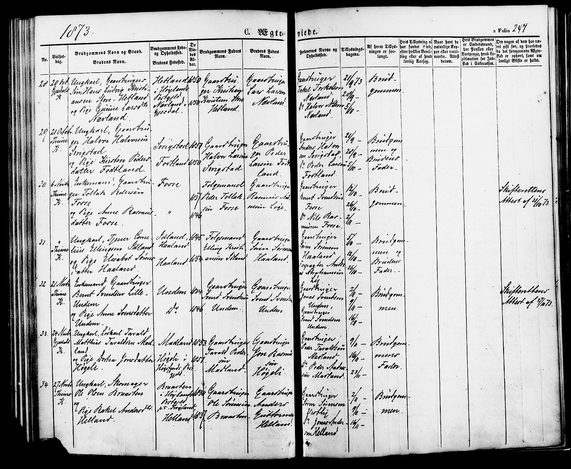 Lye sokneprestkontor, AV/SAST-A-101794/001/30BA/L0008: Parish register (official) no. A 7, 1872-1881, p. 247