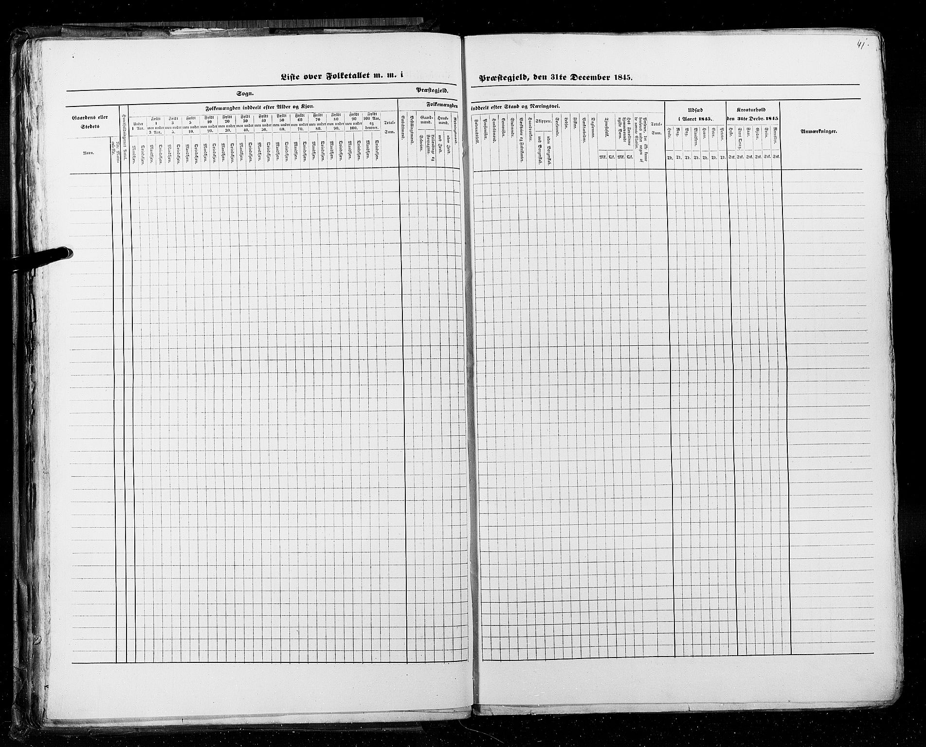 RA, Census 1845, vol. 5: Bratsberg amt og Nedenes og Råbyggelaget amt, 1845, p. 41