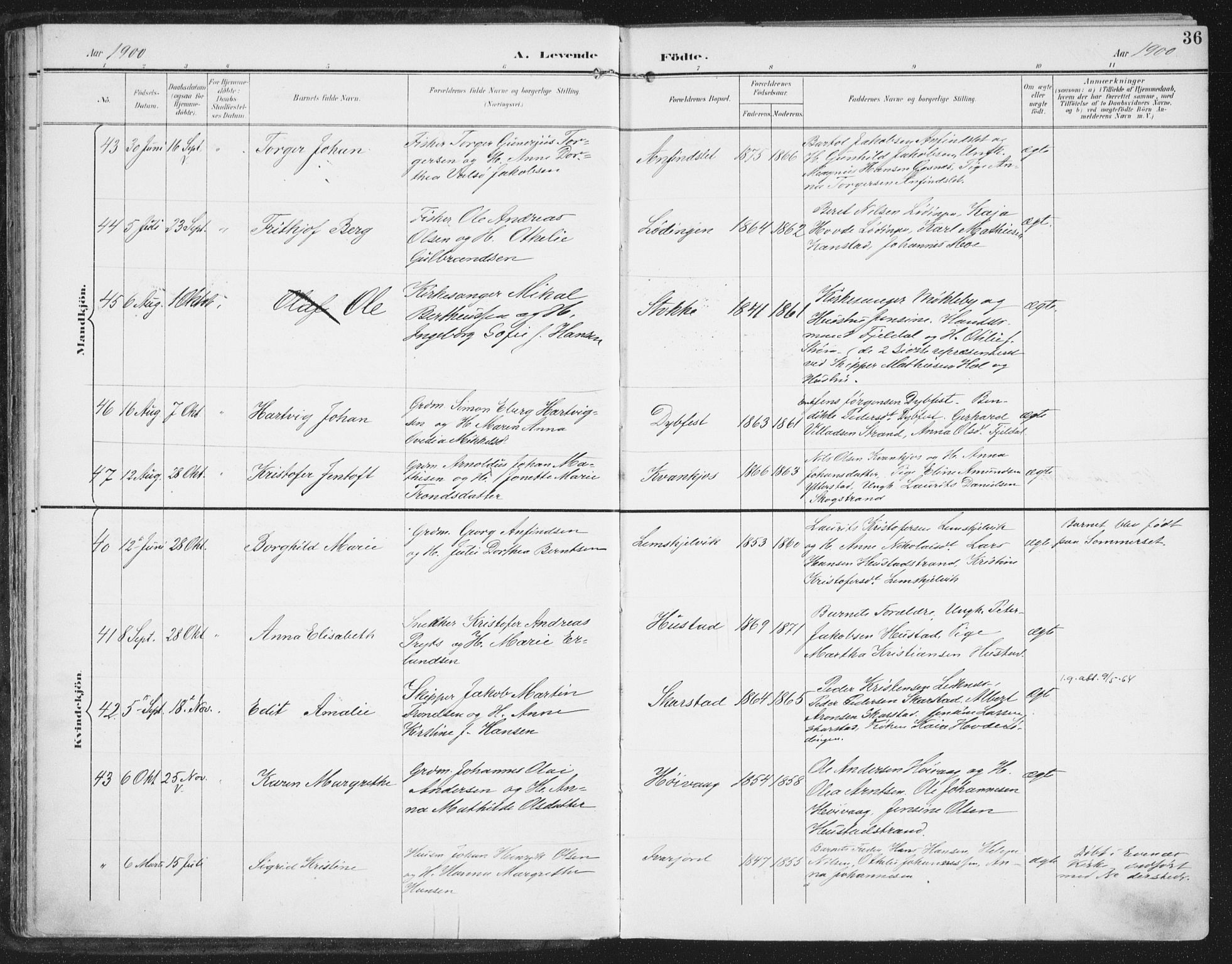 Ministerialprotokoller, klokkerbøker og fødselsregistre - Nordland, AV/SAT-A-1459/872/L1036: Parish register (official) no. 872A11, 1897-1913, p. 36