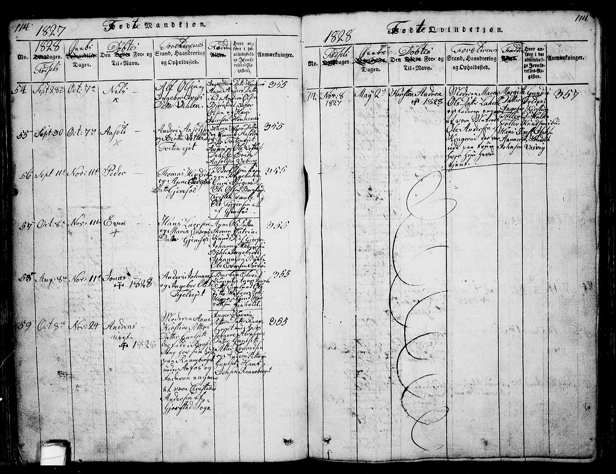 Solum kirkebøker, AV/SAKO-A-306/G/Ga/L0001: Parish register (copy) no. I 1, 1814-1833, p. 114