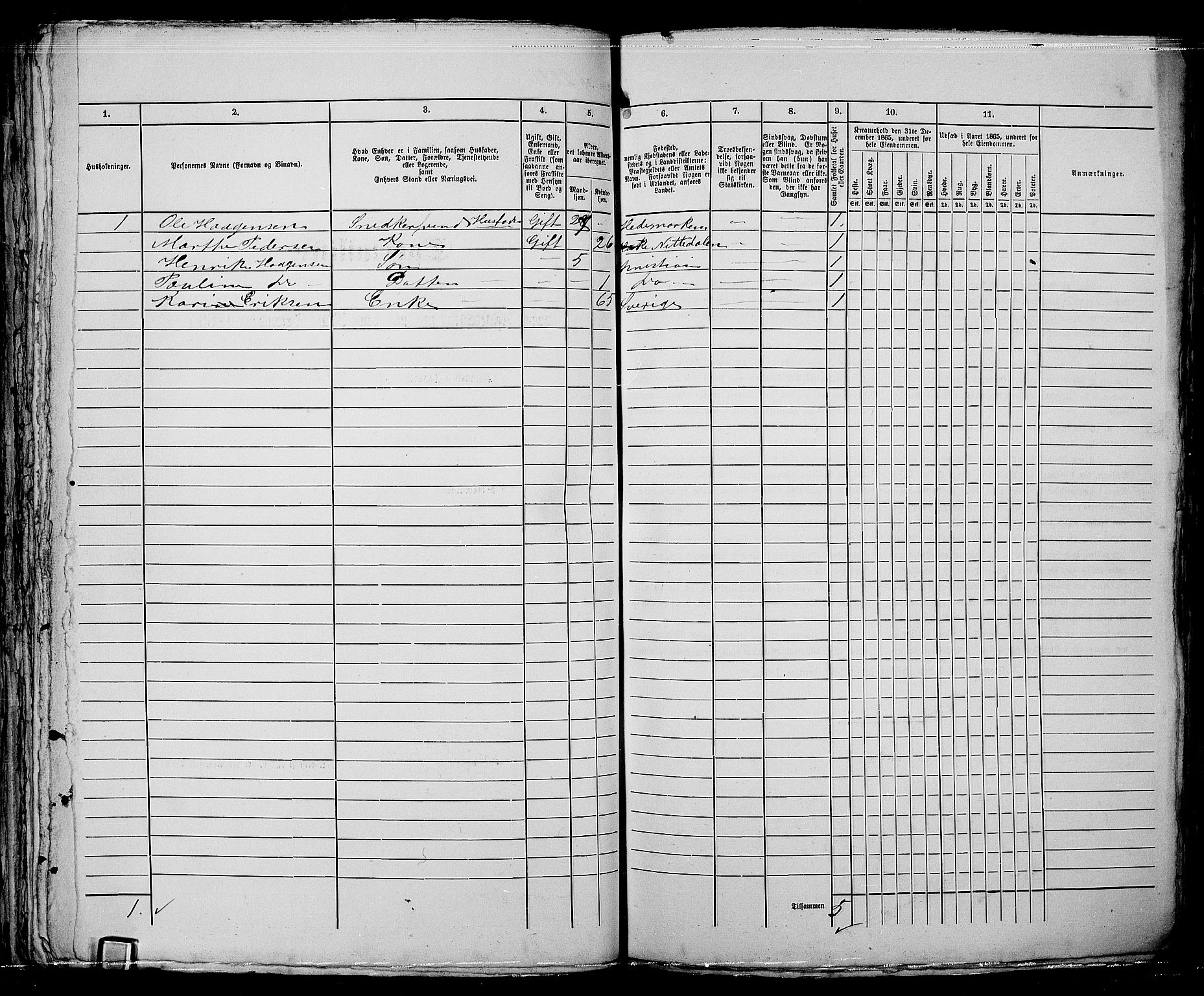 RA, 1865 census for Kristiania, 1865, p. 5087