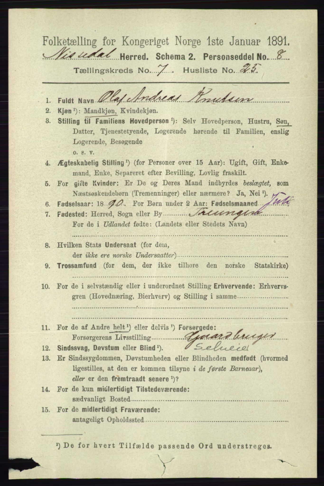 RA, 1891 census for 0830 Nissedal, 1891, p. 1639