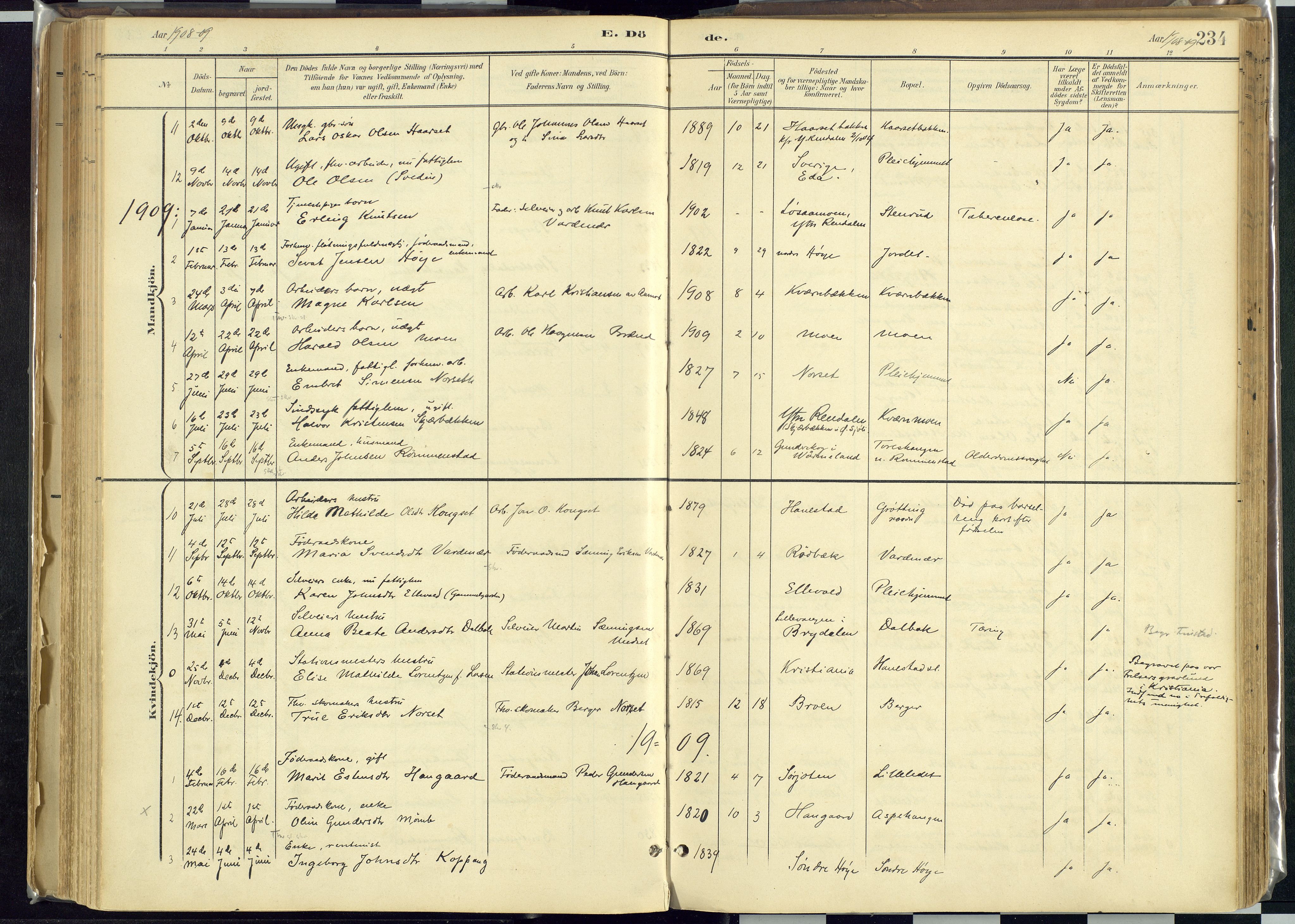 Rendalen prestekontor, SAH/PREST-054/H/Ha/Haa/L0012: Parish register (official) no. 12, 1901-1928, p. 234