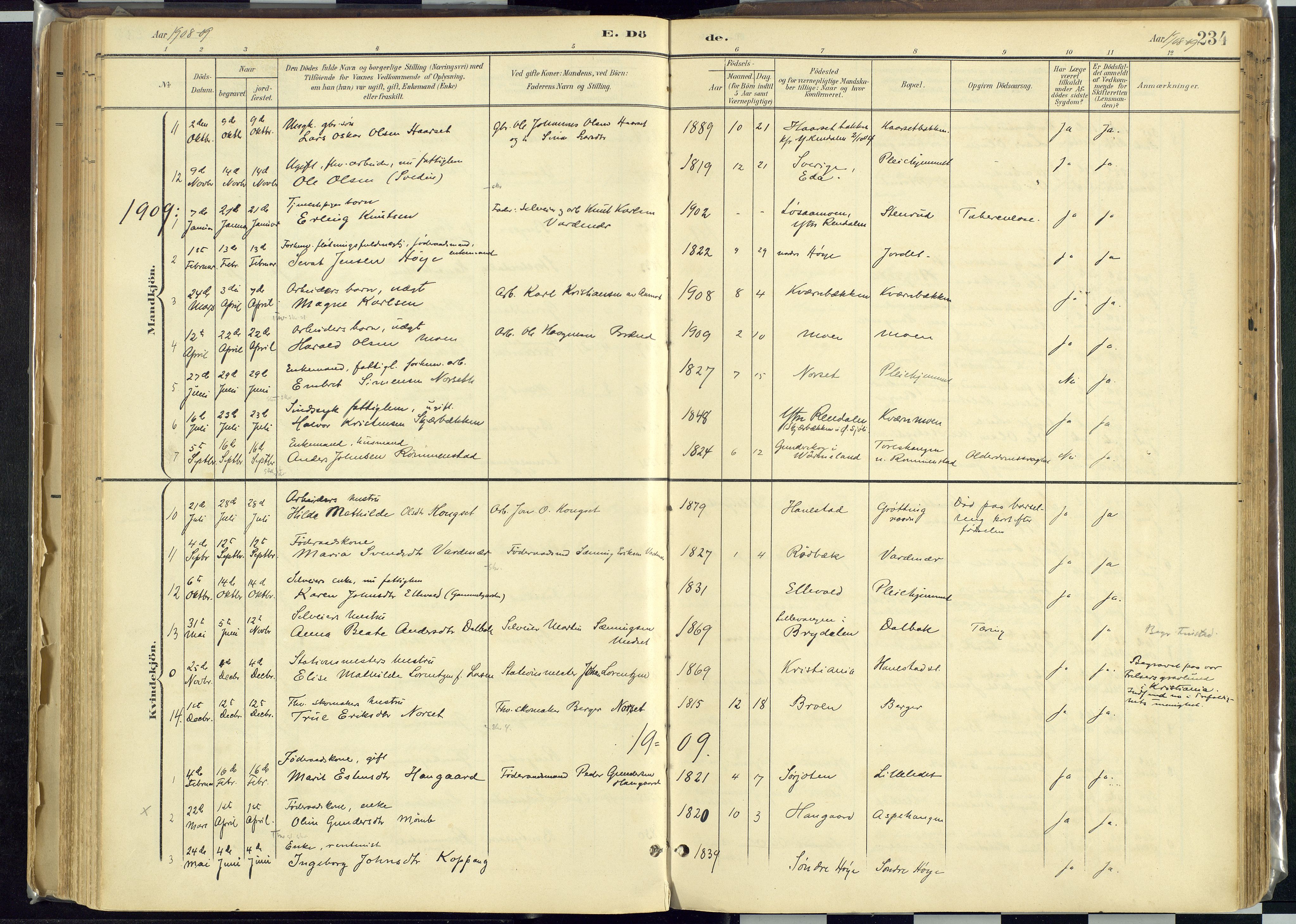 Rendalen prestekontor, AV/SAH-PREST-054/H/Ha/Haa/L0012: Parish register (official) no. 12, 1901-1928, p. 234