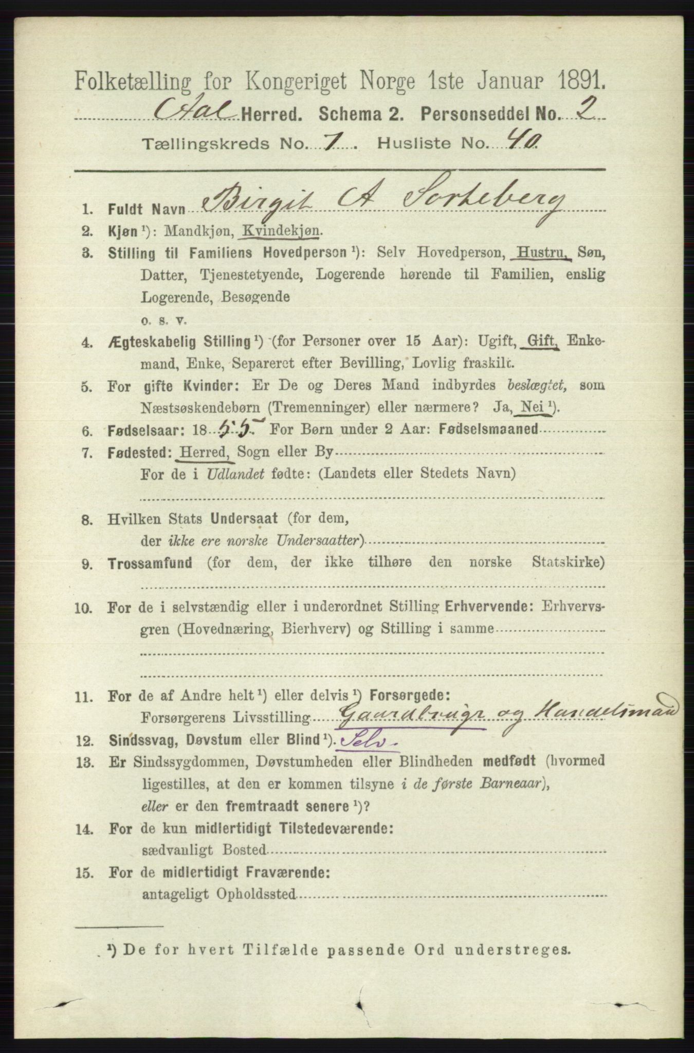 RA, 1891 census for 0619 Ål, 1891, p. 2005