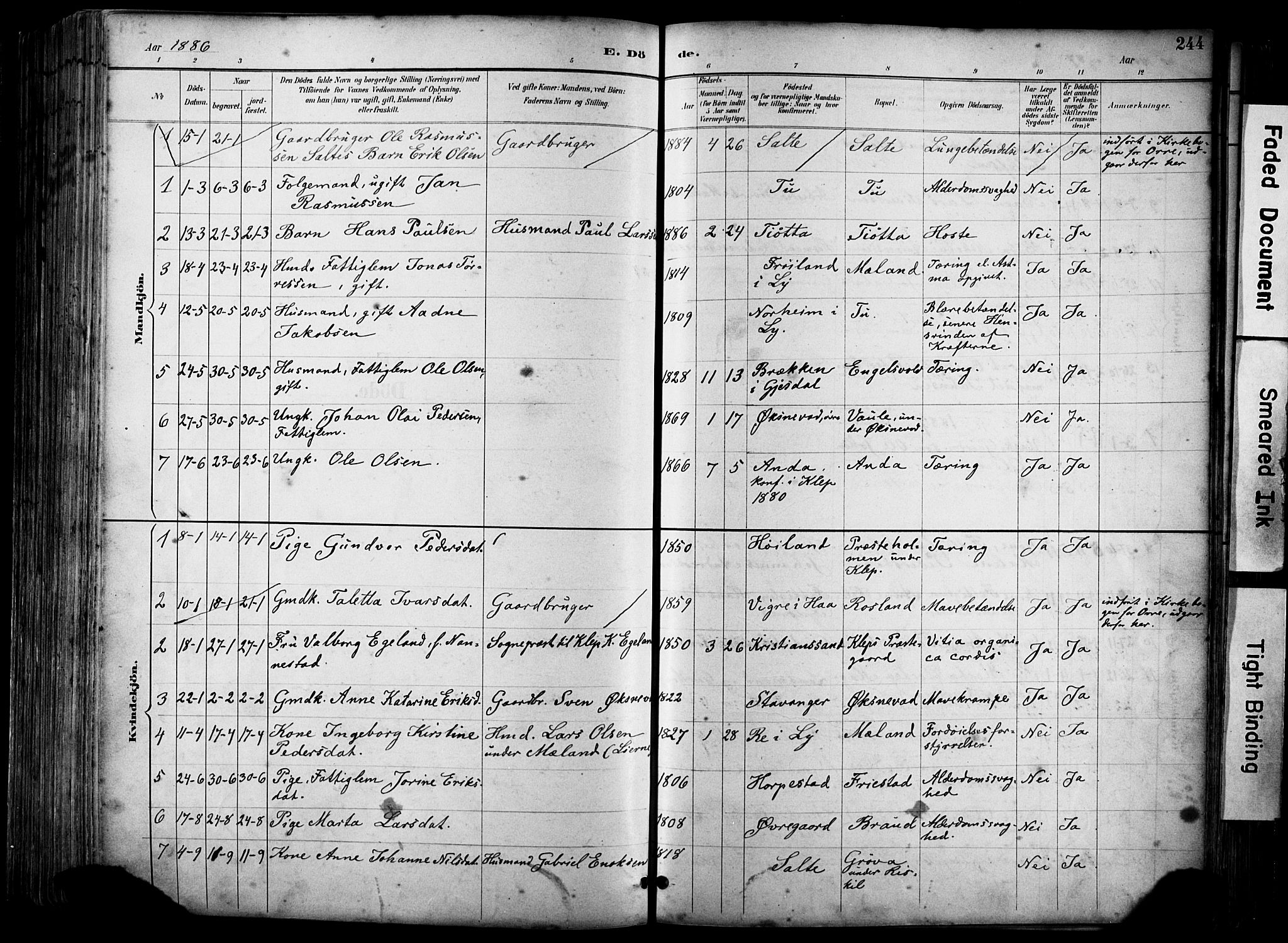 Klepp sokneprestkontor, SAST/A-101803/001/3/30BA/L0009: Parish register (official) no. A 7, 1886-1915, p. 244