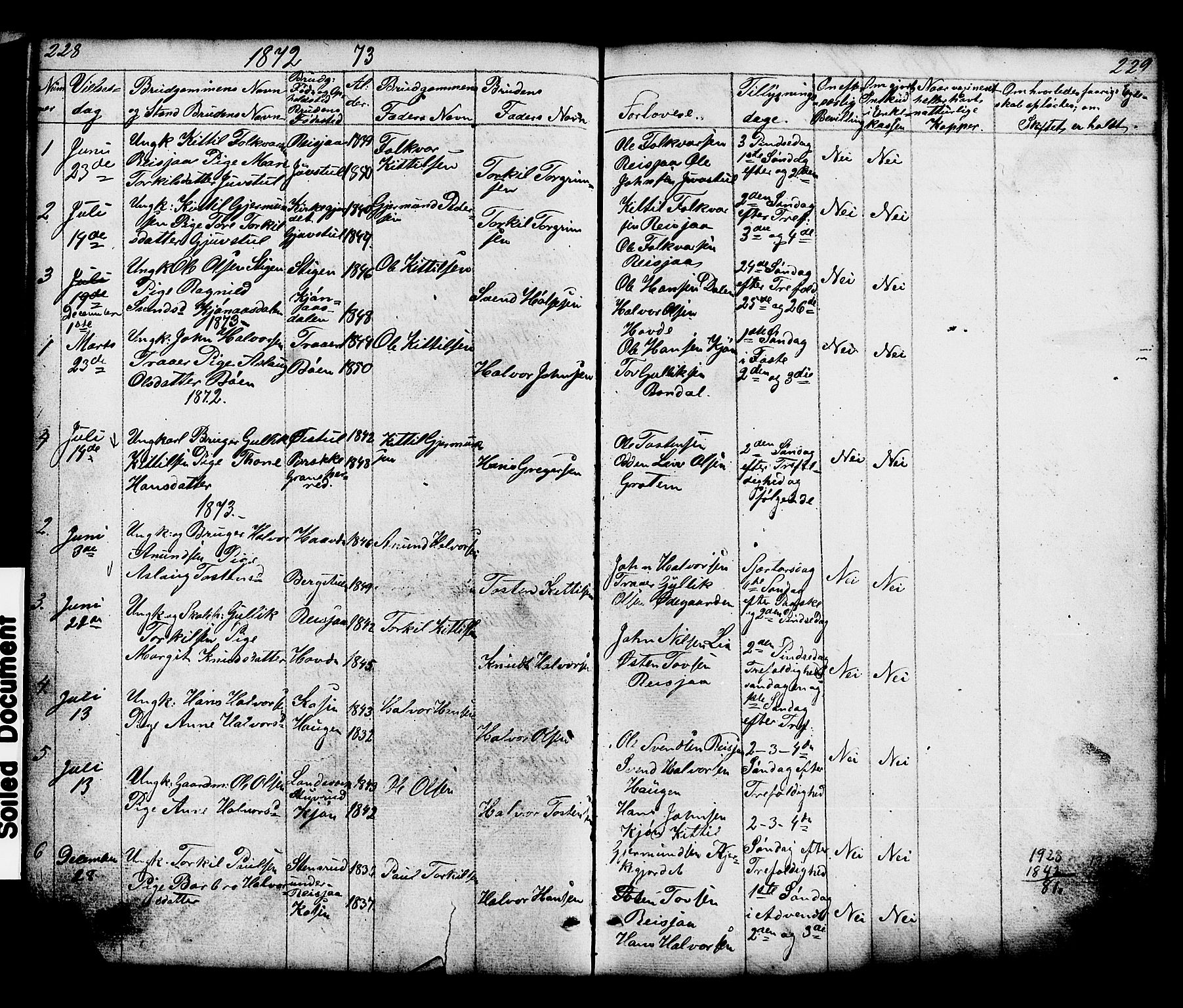 Hjartdal kirkebøker, SAKO/A-270/G/Gc/L0002: Parish register (copy) no. III 2, 1854-1890, p. 228-229