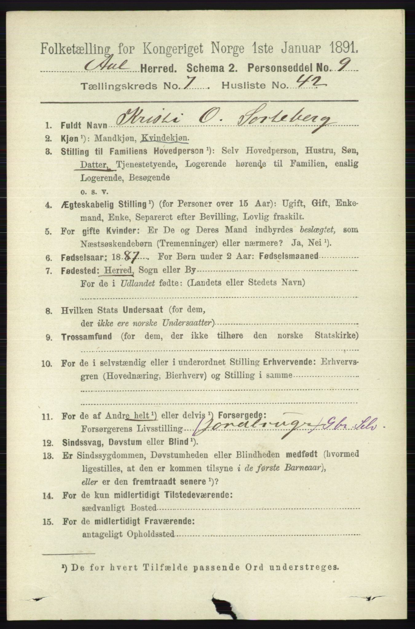 RA, 1891 census for 0619 Ål, 1891, p. 2024