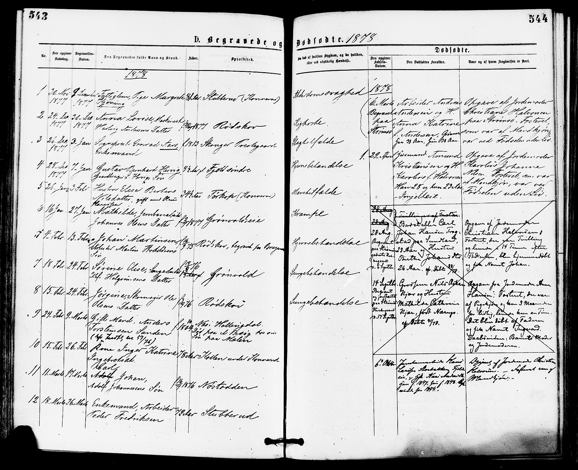Skoger kirkebøker, AV/SAKO-A-59/F/Fa/L0005: Parish register (official) no. I 5, 1873-1884, p. 543-544