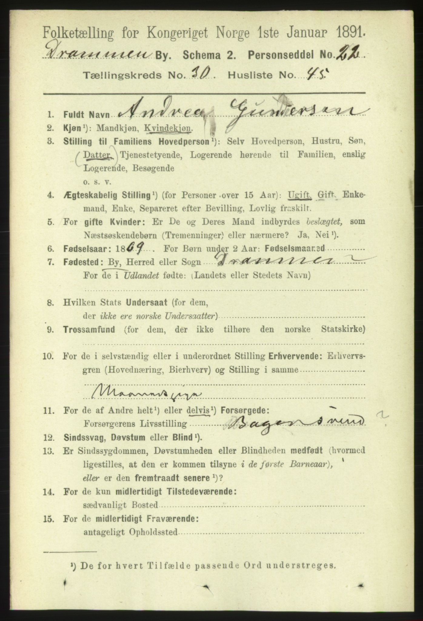 RA, 1891 census for 0602 Drammen, 1891, p. 18691