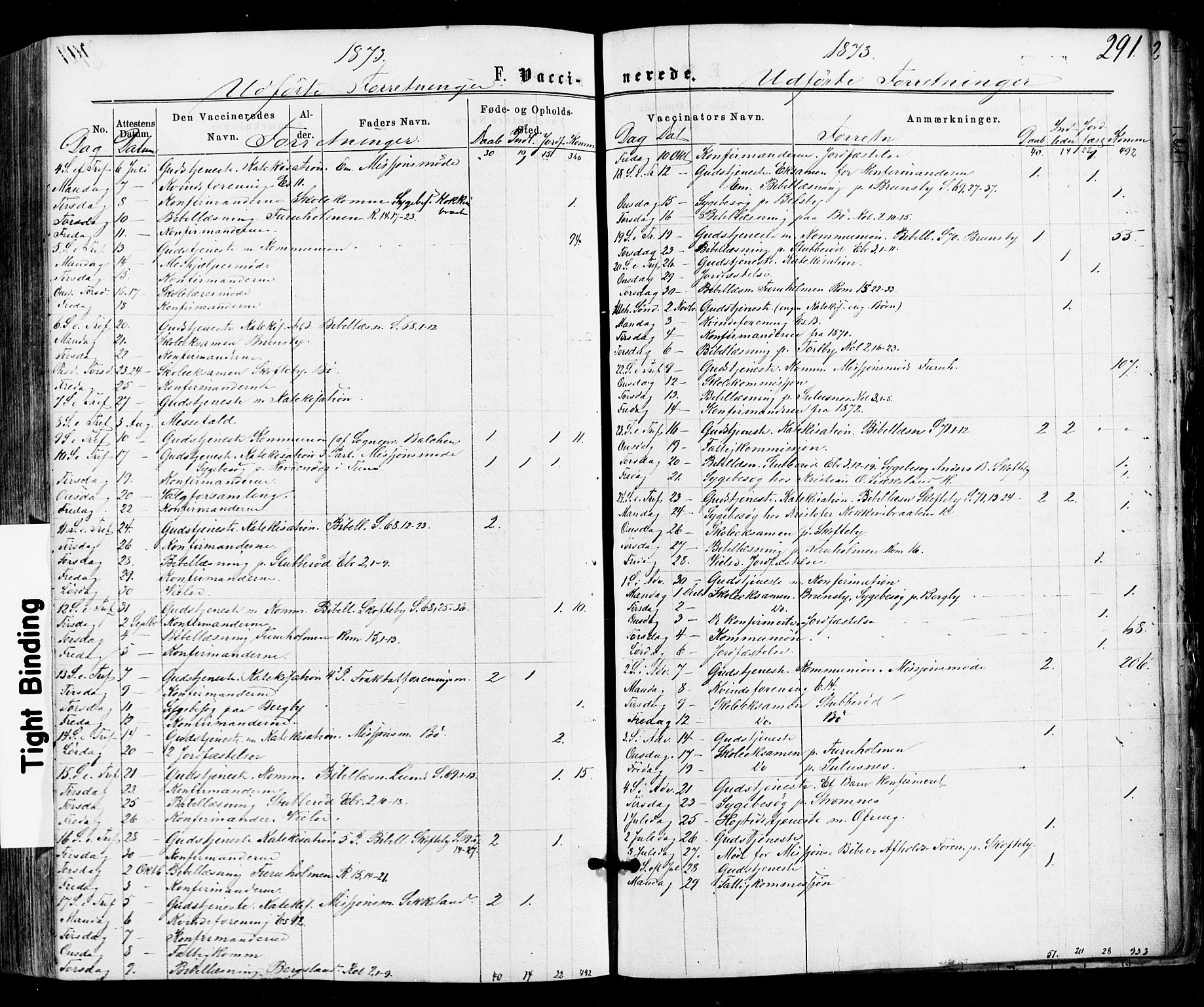 Varteig prestekontor Kirkebøker, SAO/A-10447a/F/Fa/L0001: Parish register (official) no. 1, 1861-1877, p. 291