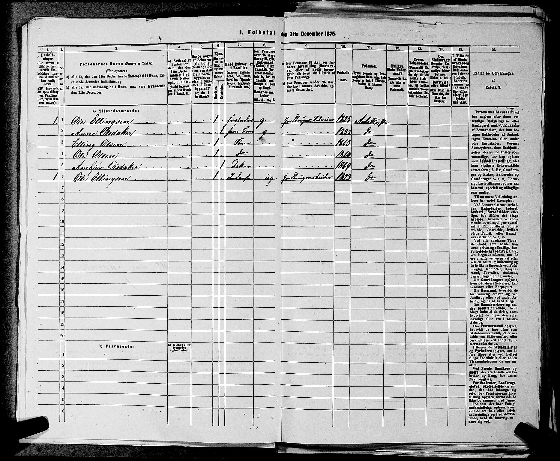 SAKO, 1875 census for 0619P Ål, 1875, p. 323