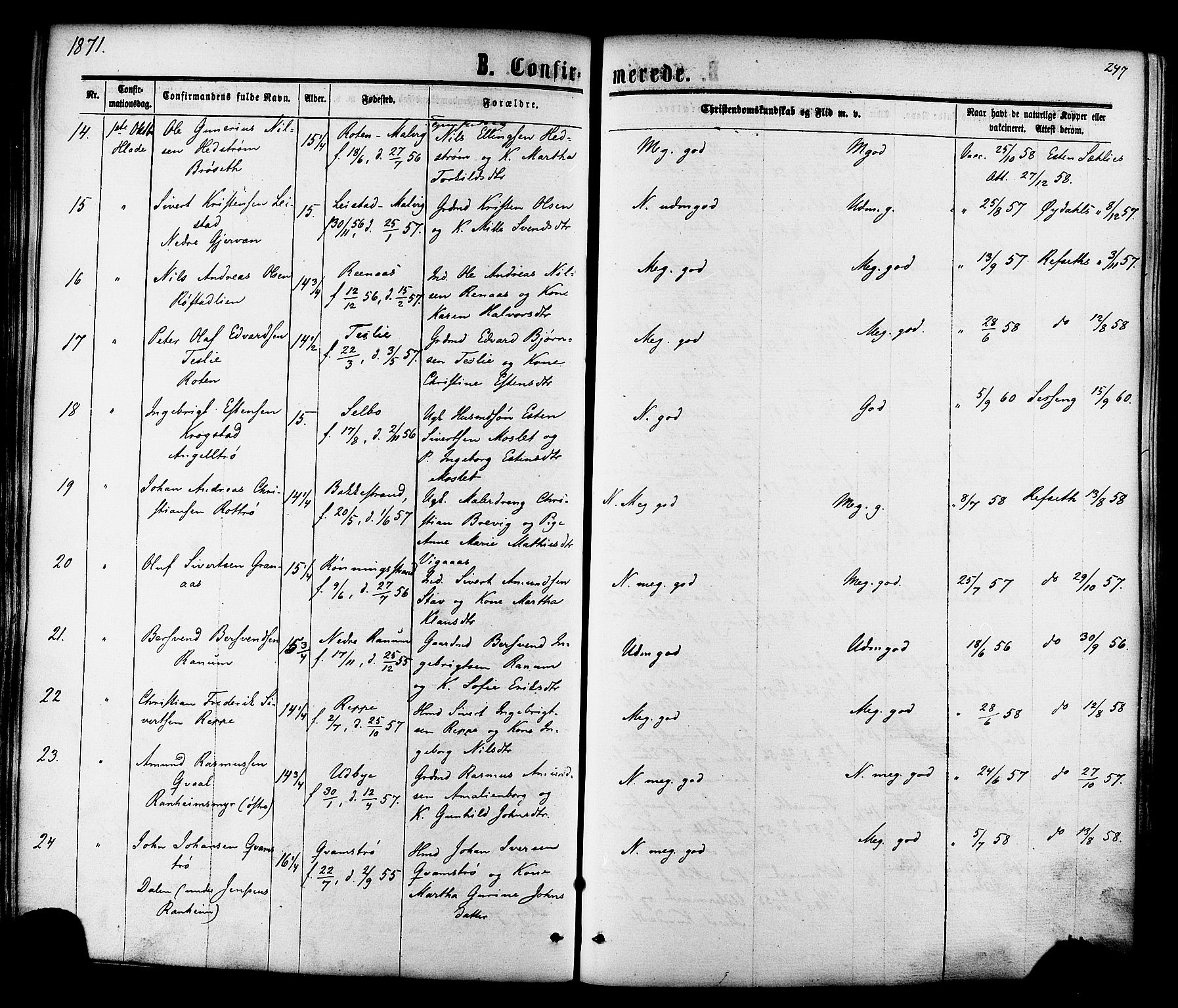 Ministerialprotokoller, klokkerbøker og fødselsregistre - Sør-Trøndelag, SAT/A-1456/606/L0293: Parish register (official) no. 606A08, 1866-1877, p. 247