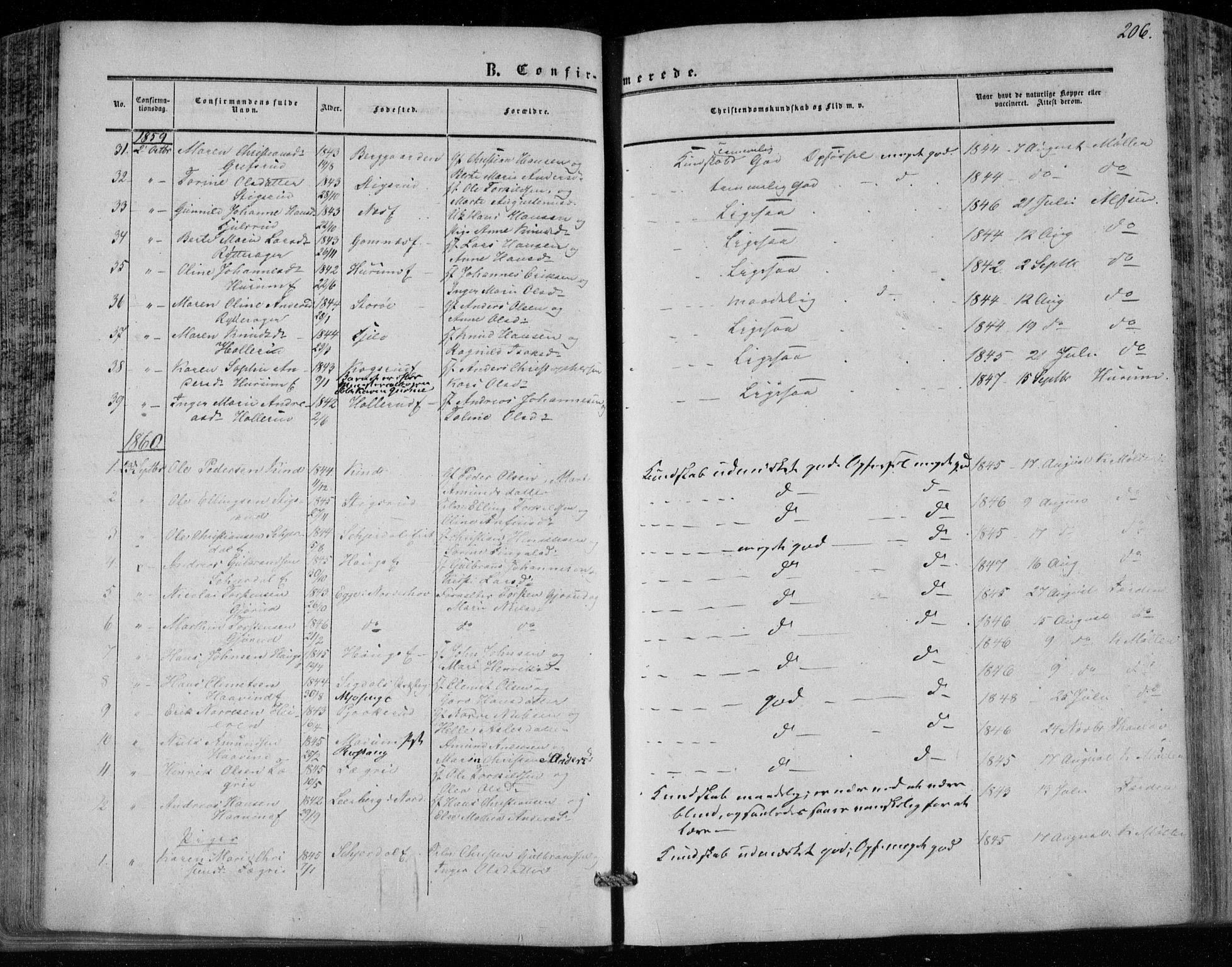 Hole kirkebøker, SAKO/A-228/F/Fa/L0006: Parish register (official) no. I 6, 1852-1872, p. 206
